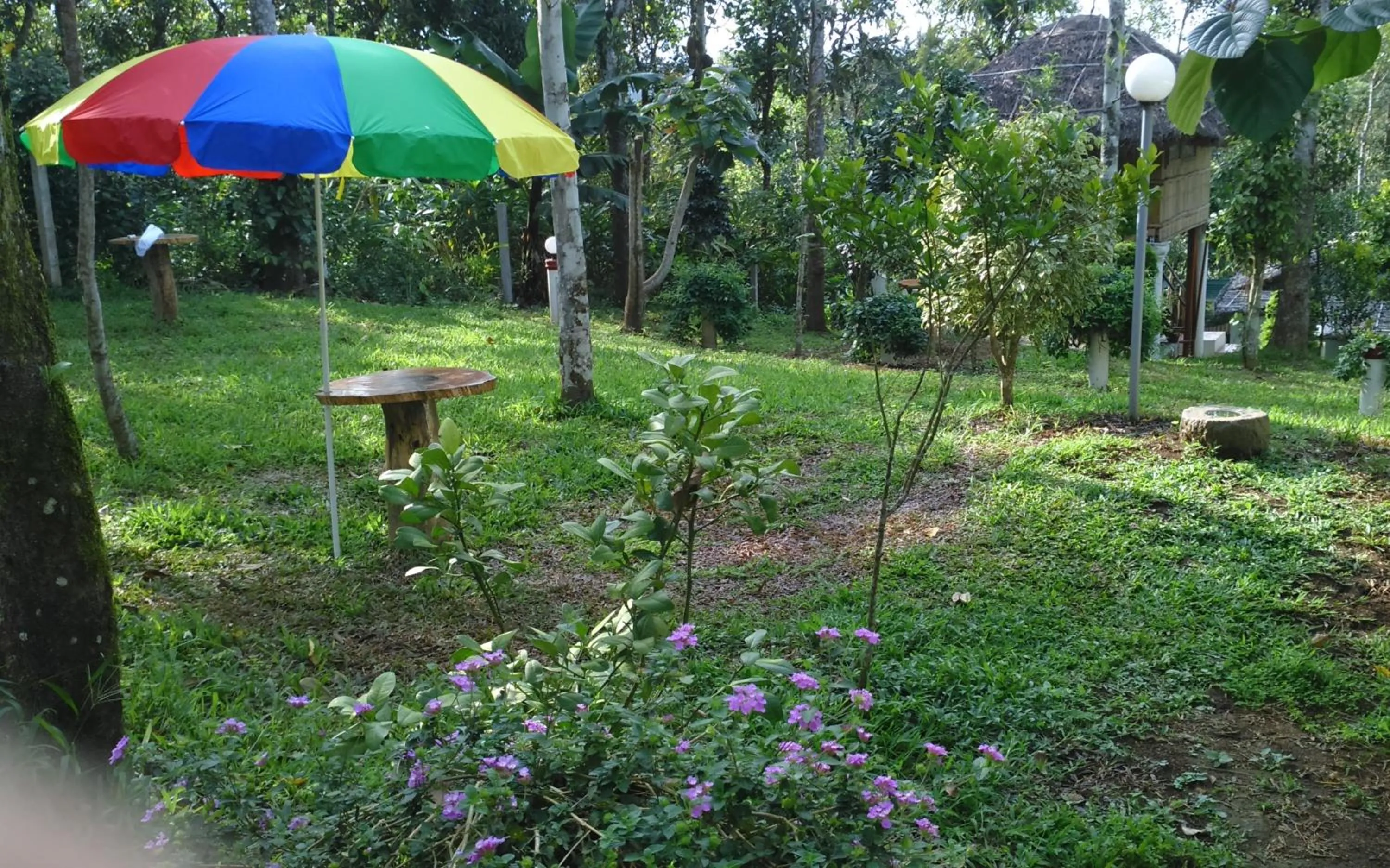 Children play ground in Green Ark Resorts