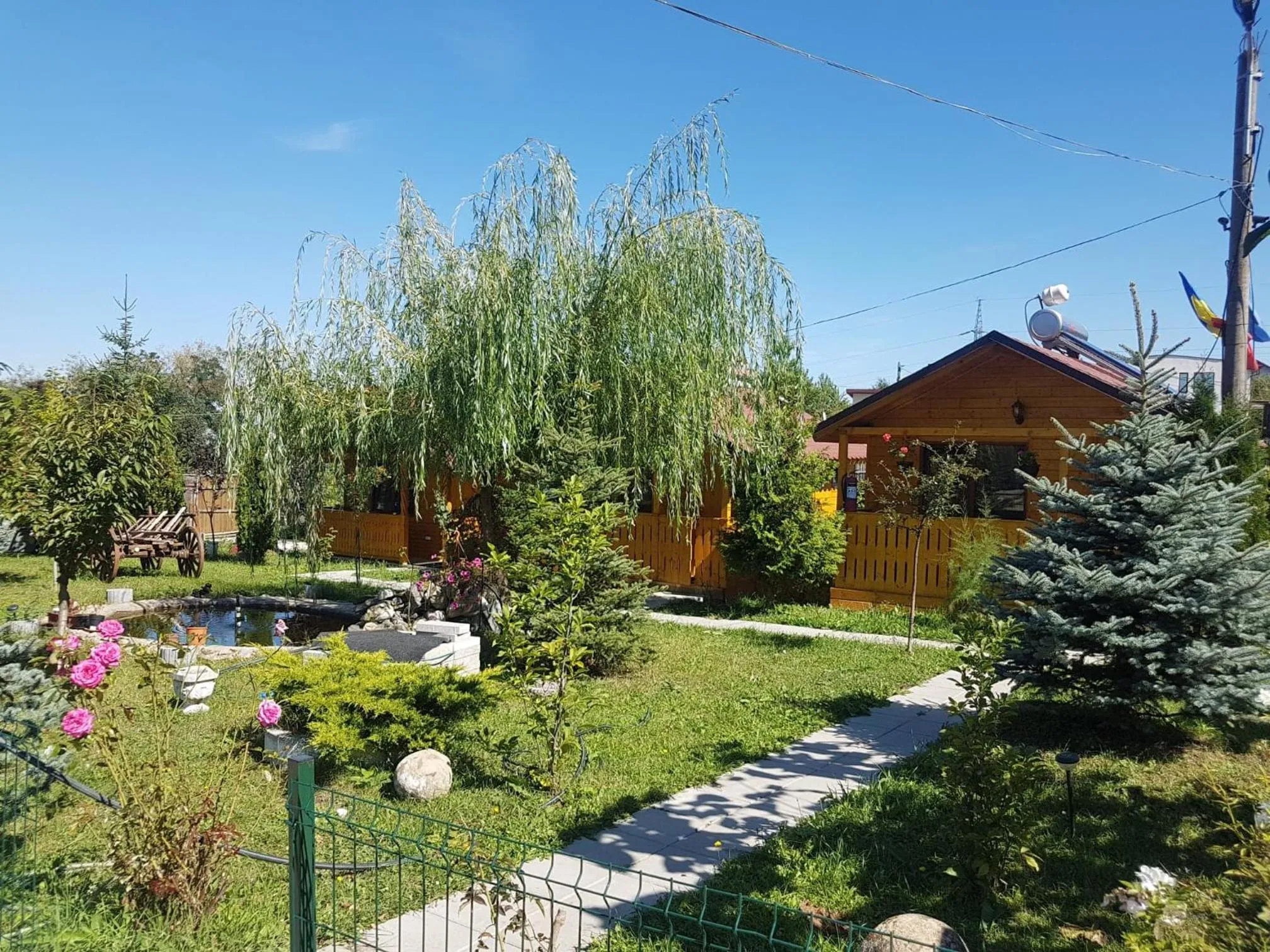 Garden in Pensiunea Gaby