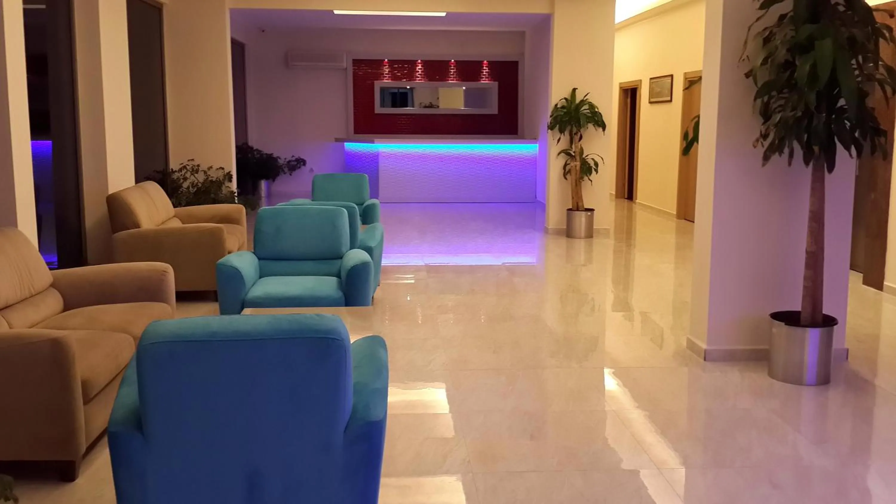 Lounge or bar in Palmea Hotel