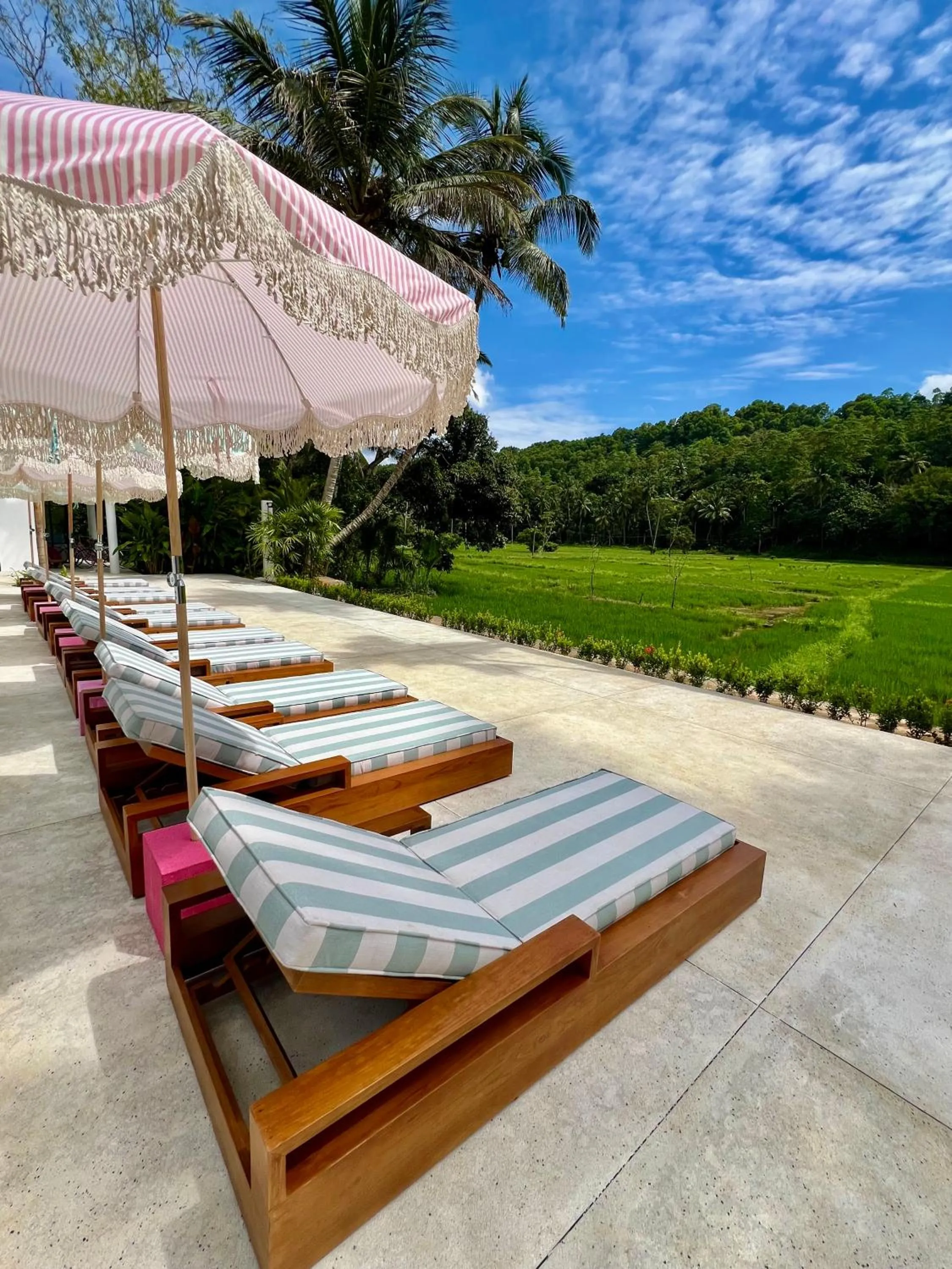 Property building in Miss Ceylon