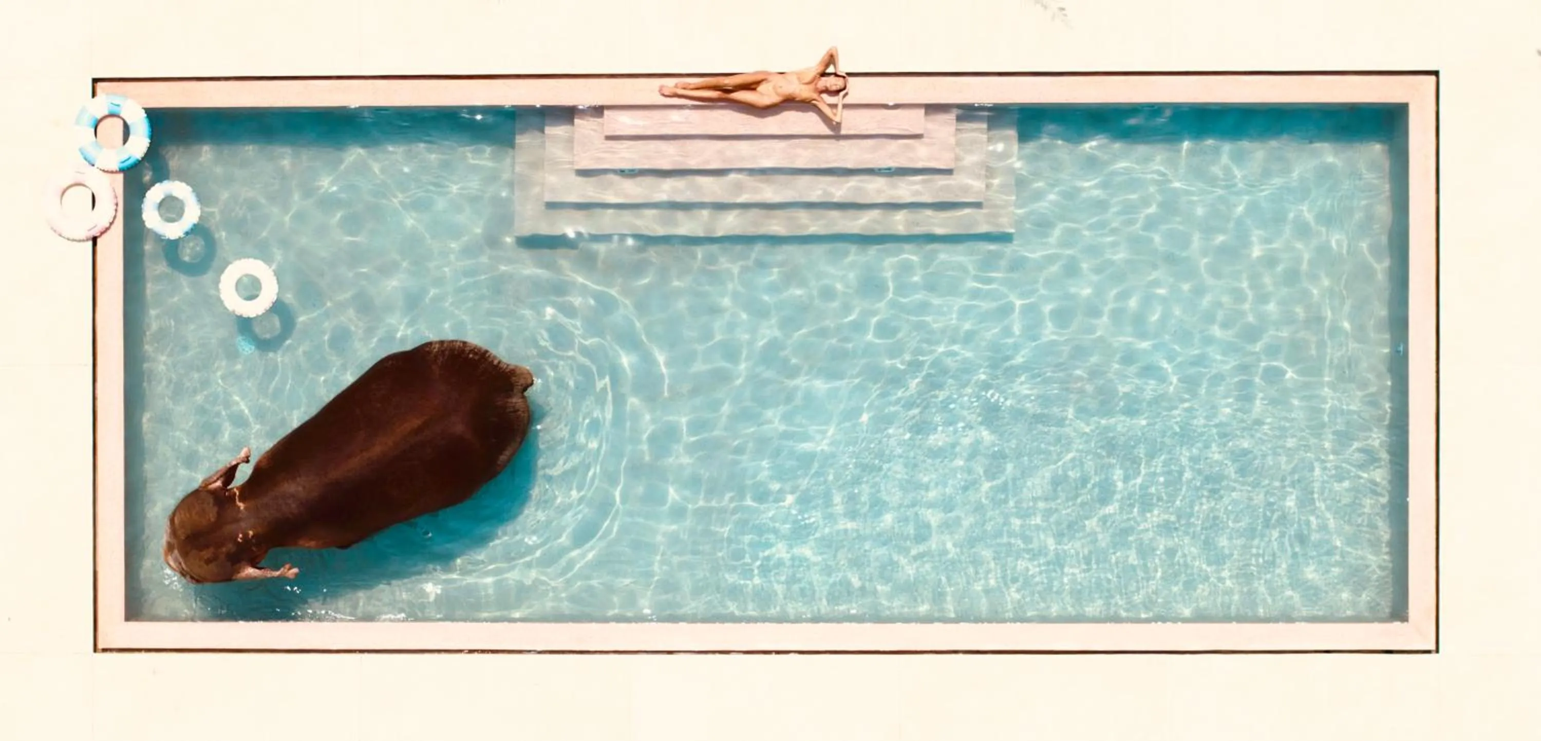 Swimming pool in Miss Ceylon