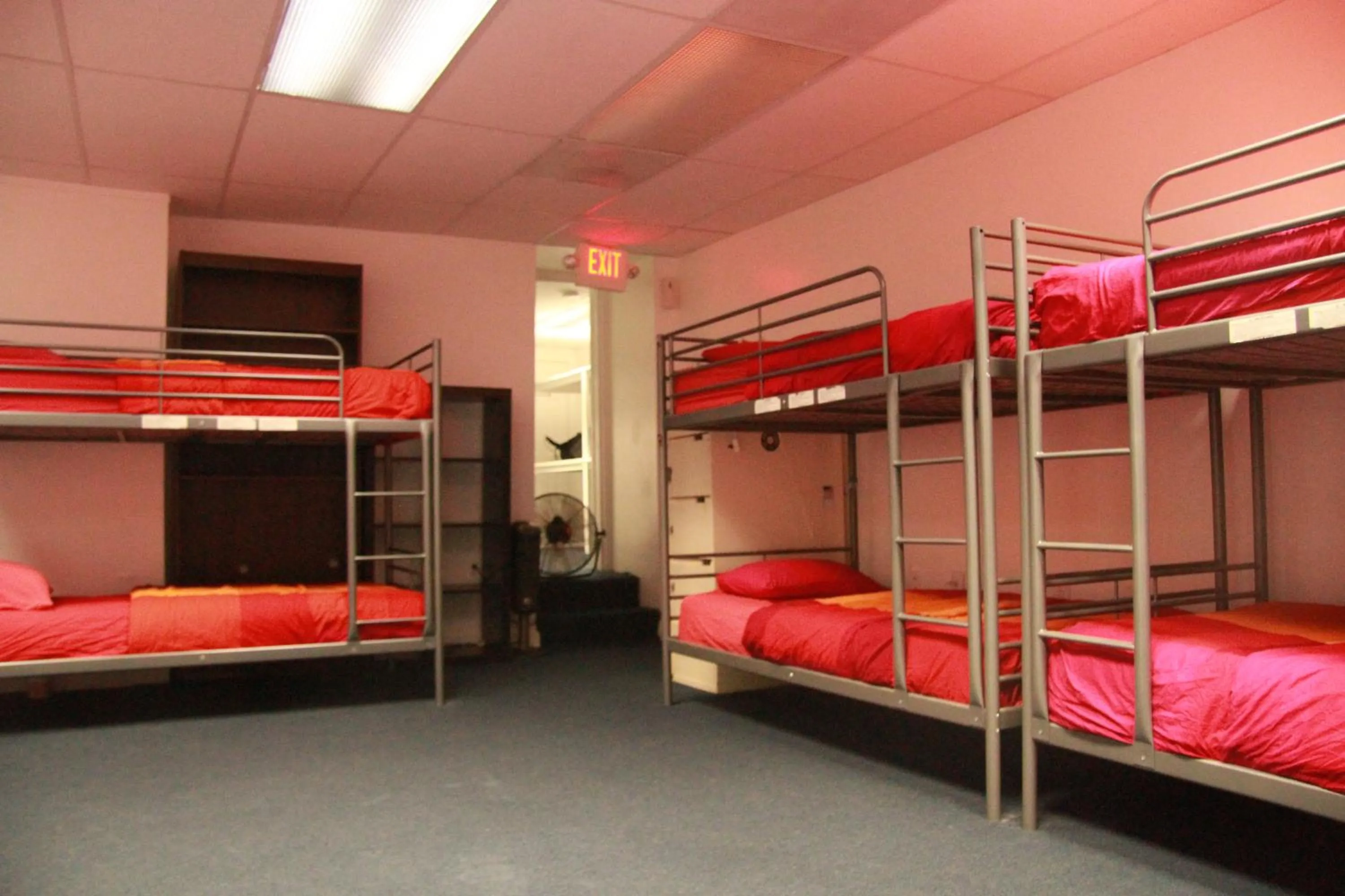 bunk bed, Bed in Duo Housing
