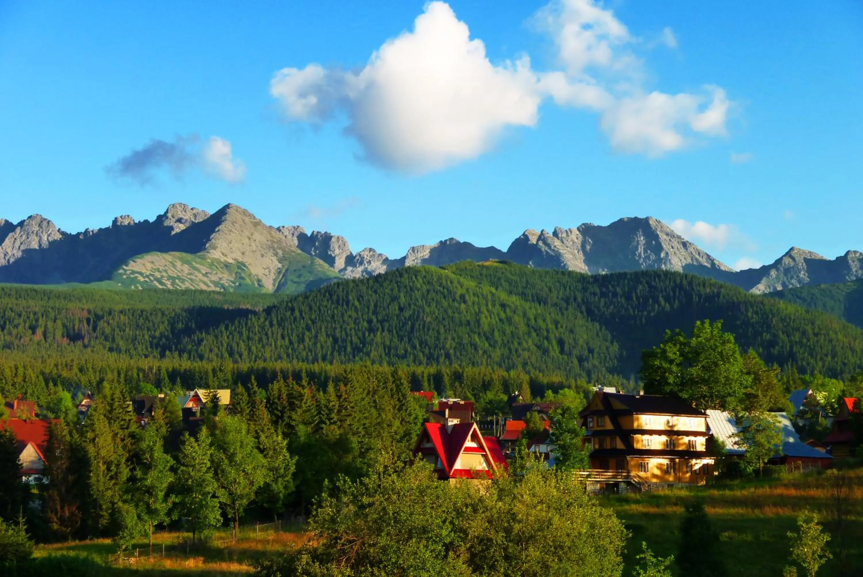 View (from property/room) in Zwijaczówka