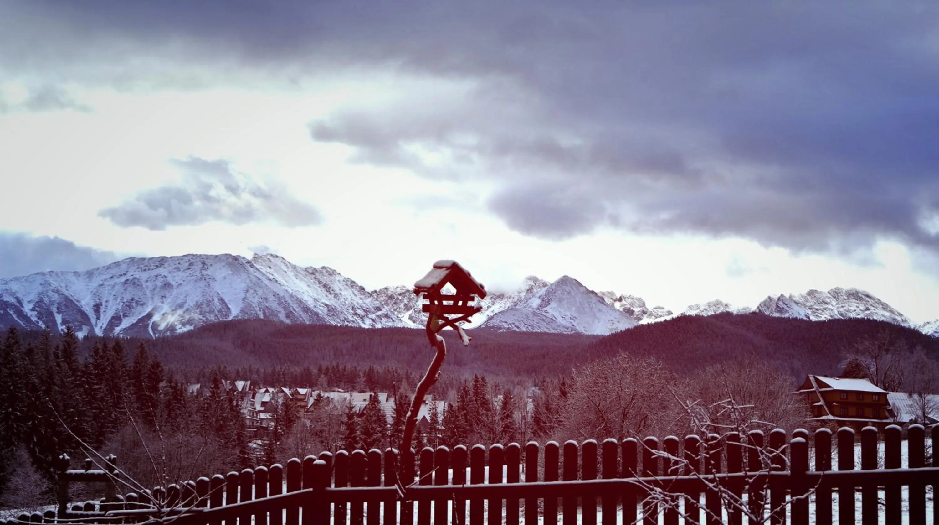 Winter in Zwijaczówka