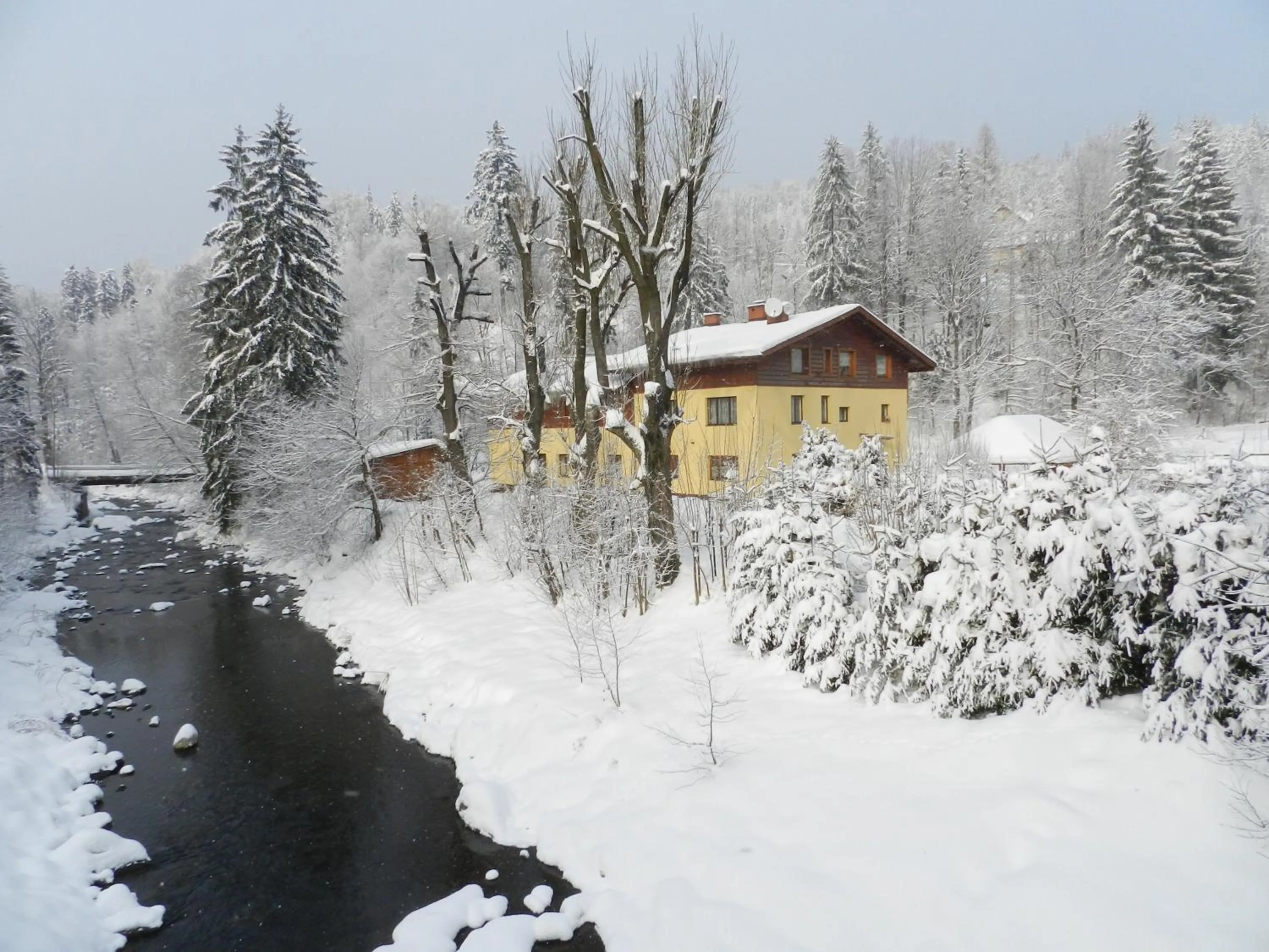 Winter in Willa Emilia