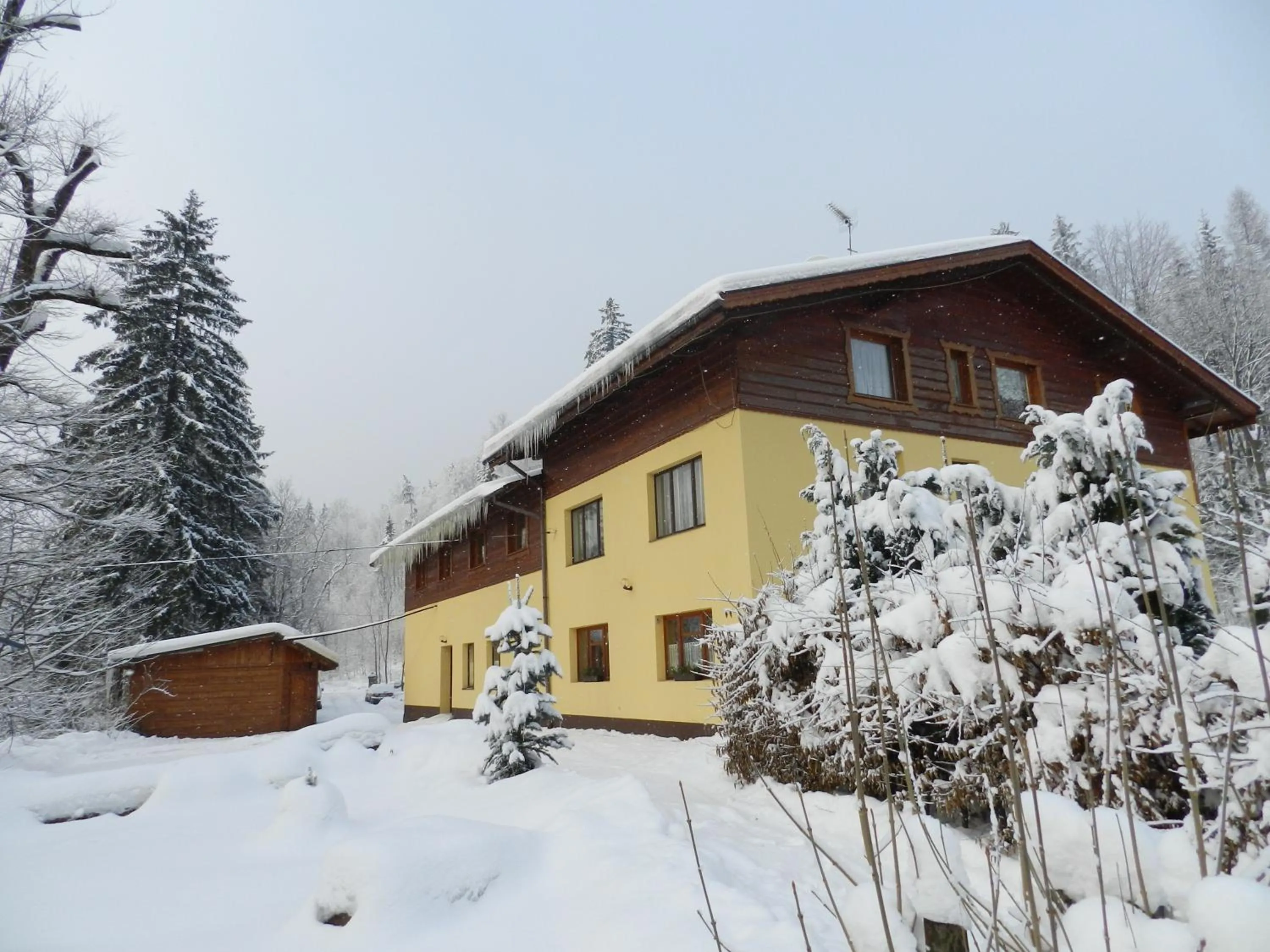 Winter in Willa Emilia