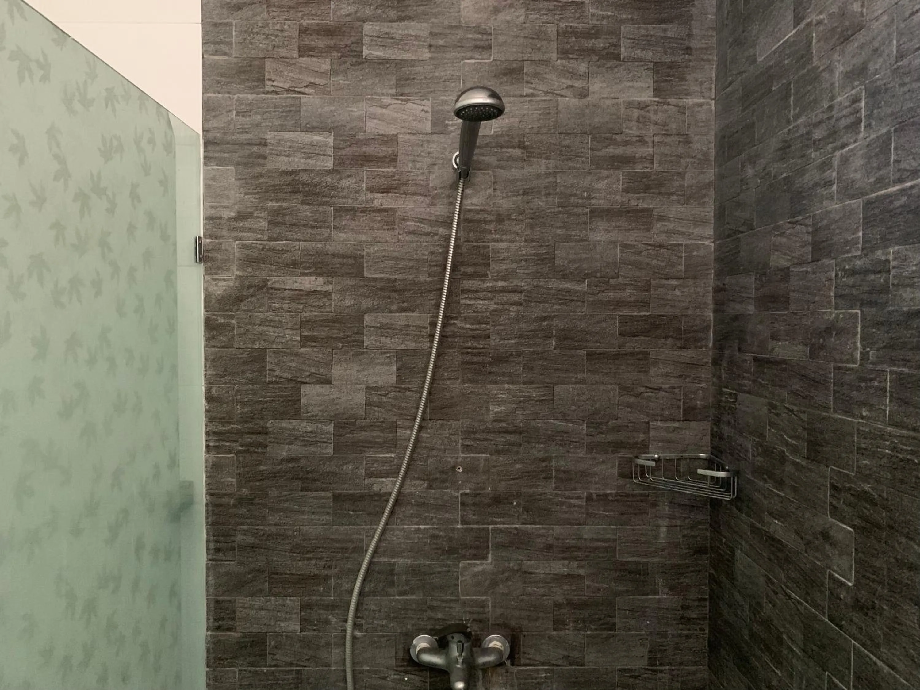 Shower in Cozy Palm Villa