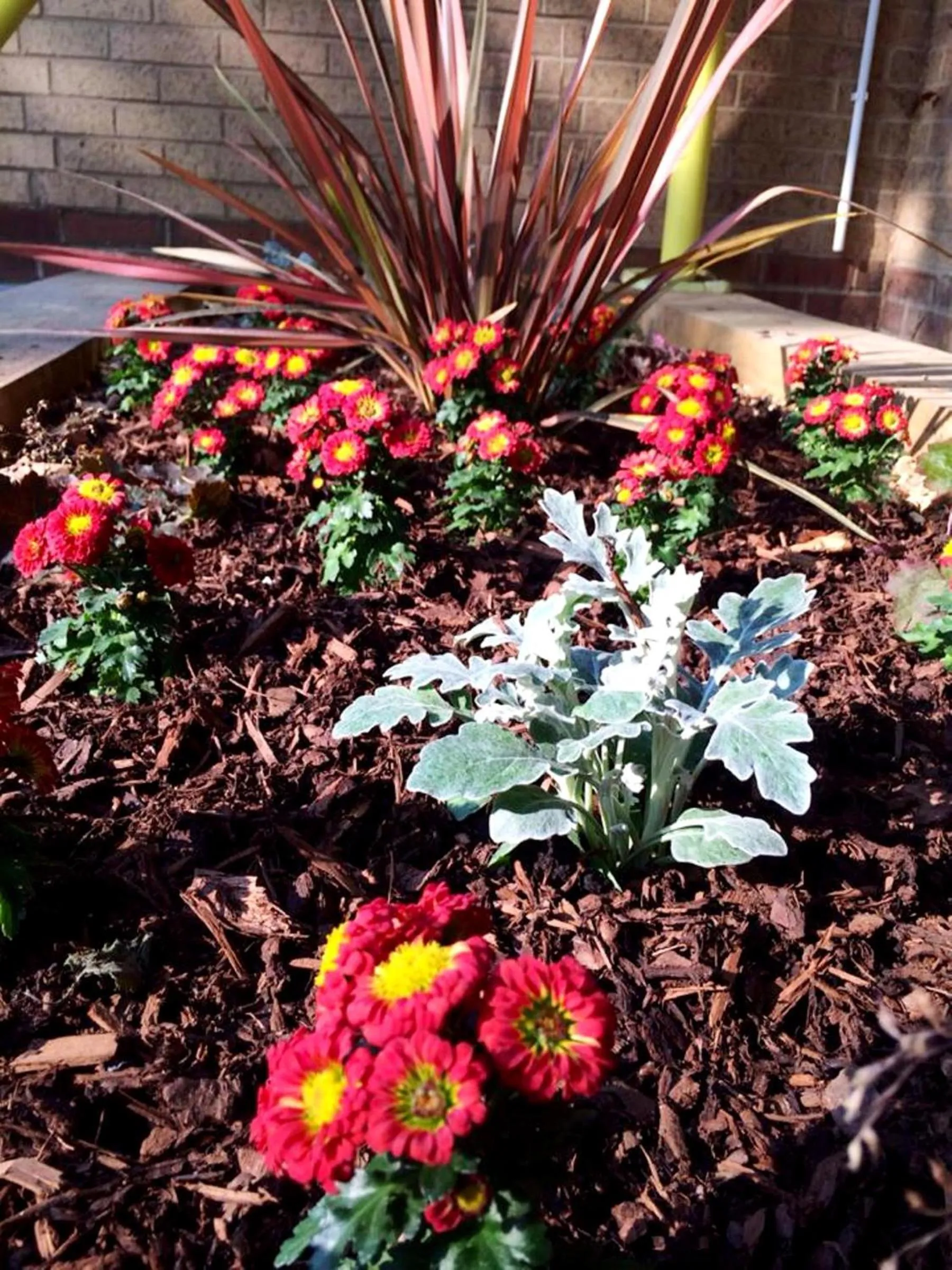 Garden in Pelican London Hotel and Residence