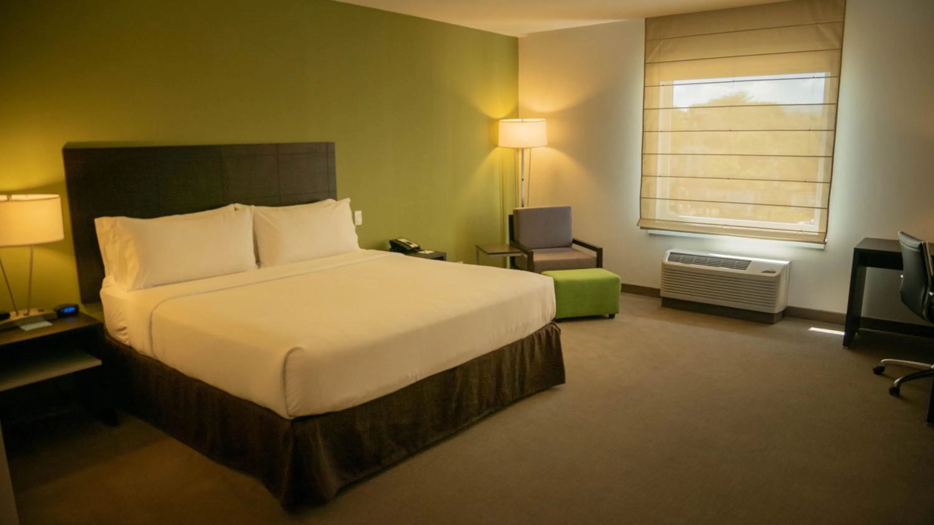 Twin Room with Lake View - single occupancy in Holiday Inn Express Managua by IHG