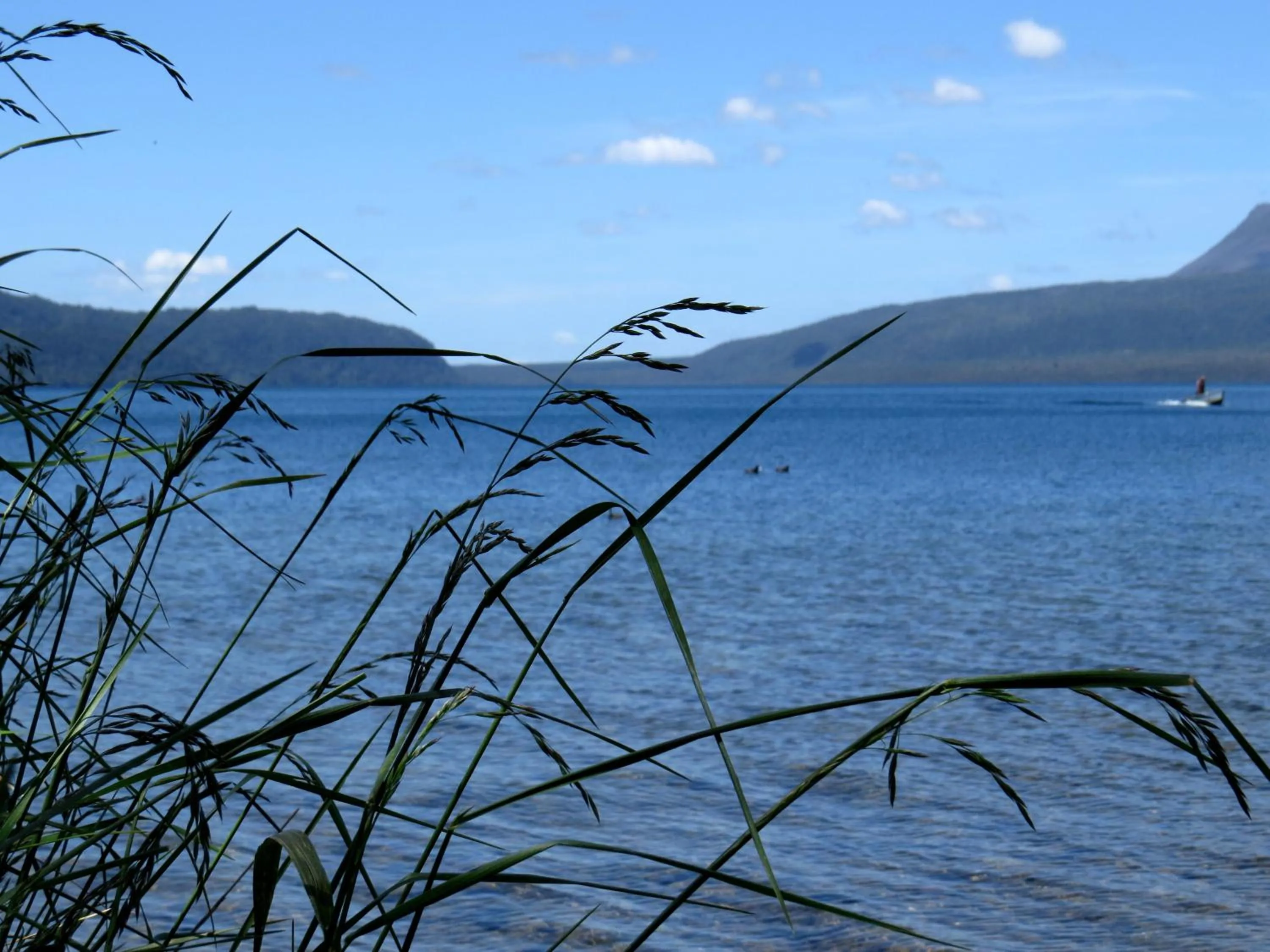 Area and facilities in Kuirau Park Motor Lodge- Thermal Mineral pool