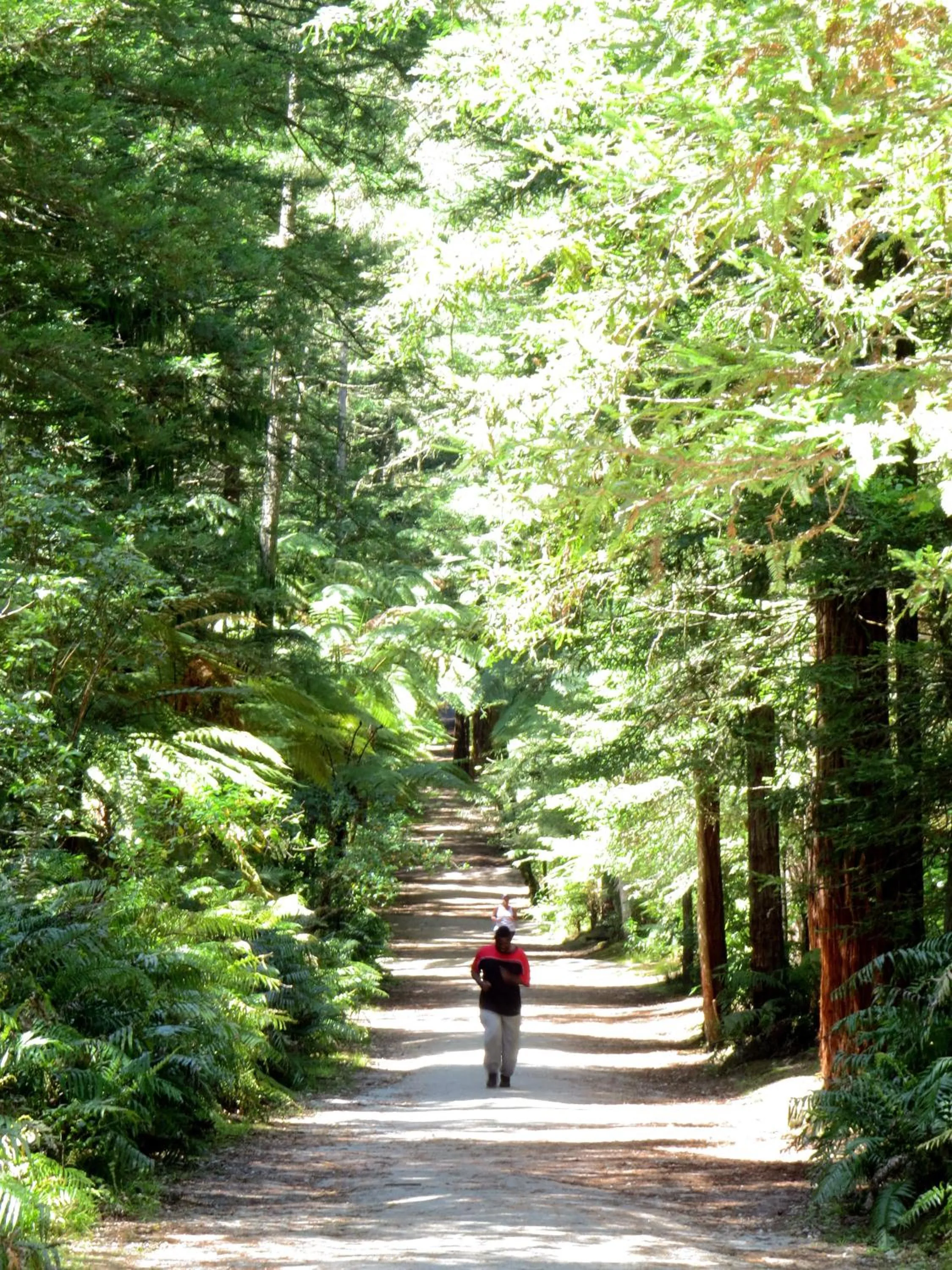 Area and facilities in Kuirau Park Motor Lodge- Thermal Mineral pool