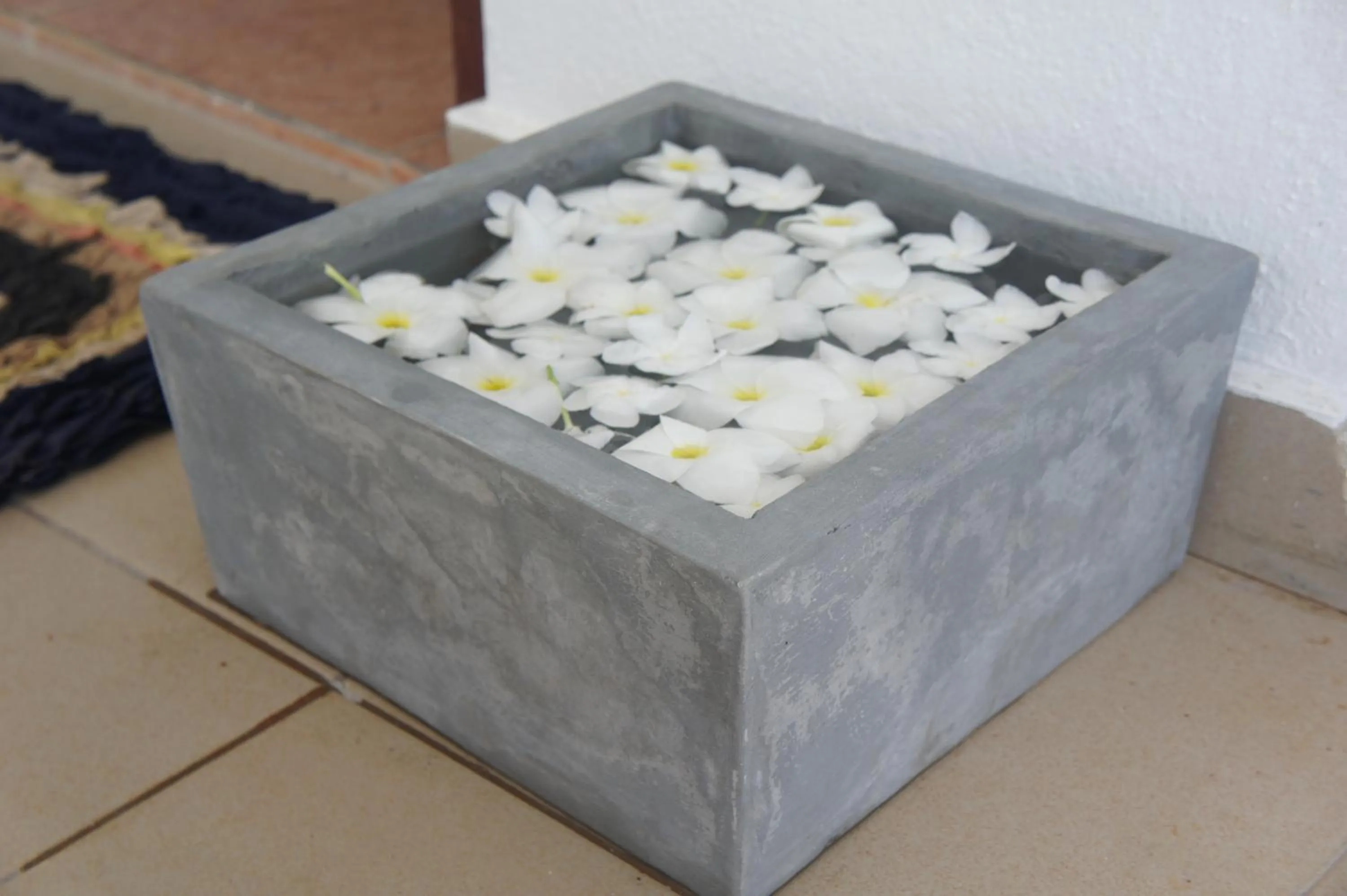 Facade/entrance in Sam's Guest House