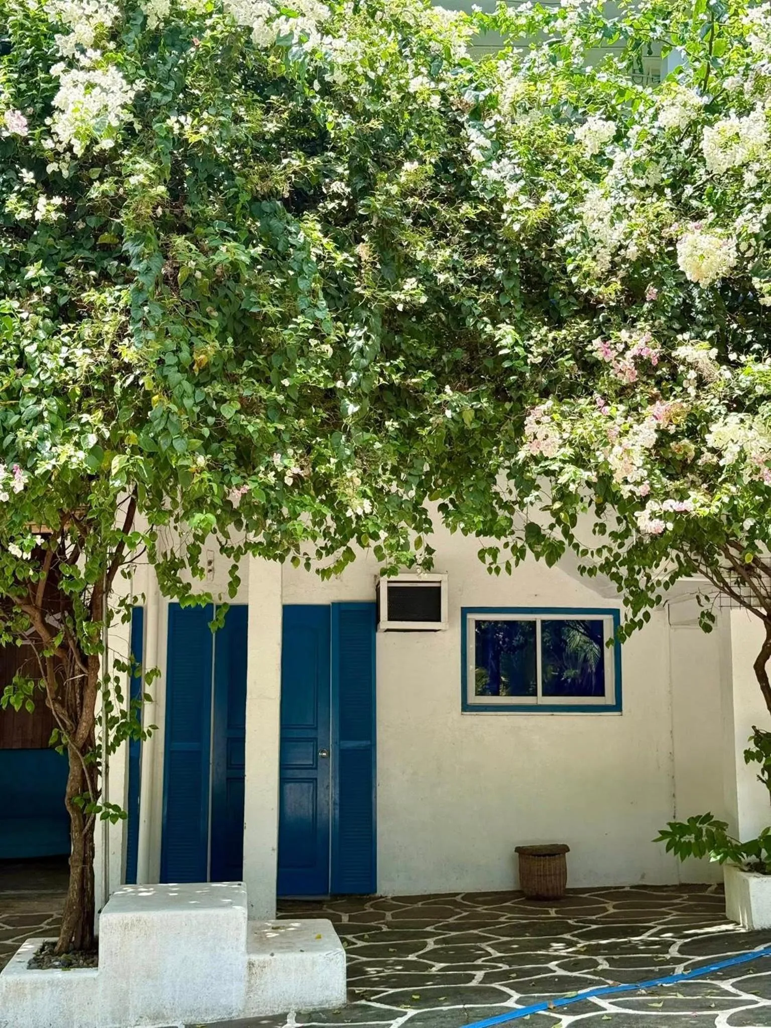 Garden view in Chalaroste Place by SMS Hospitality