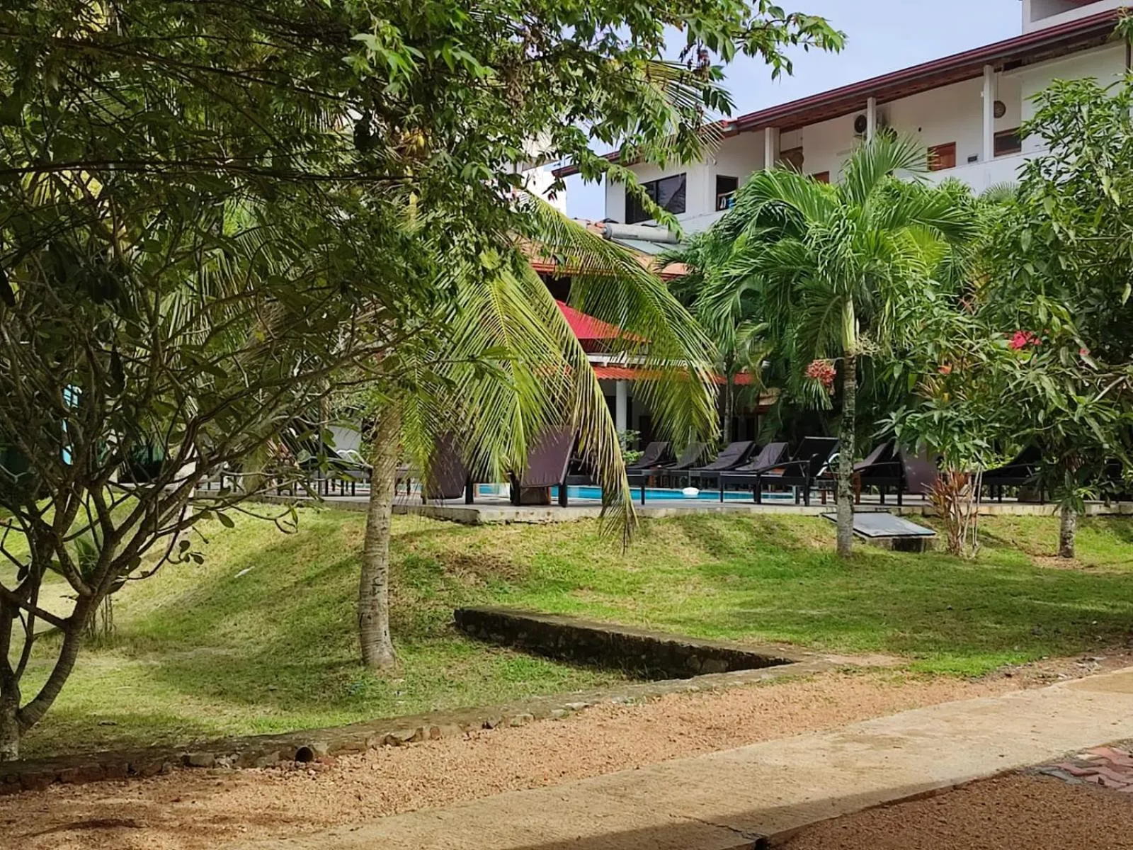 Garden in Weligama Ocean Breeze