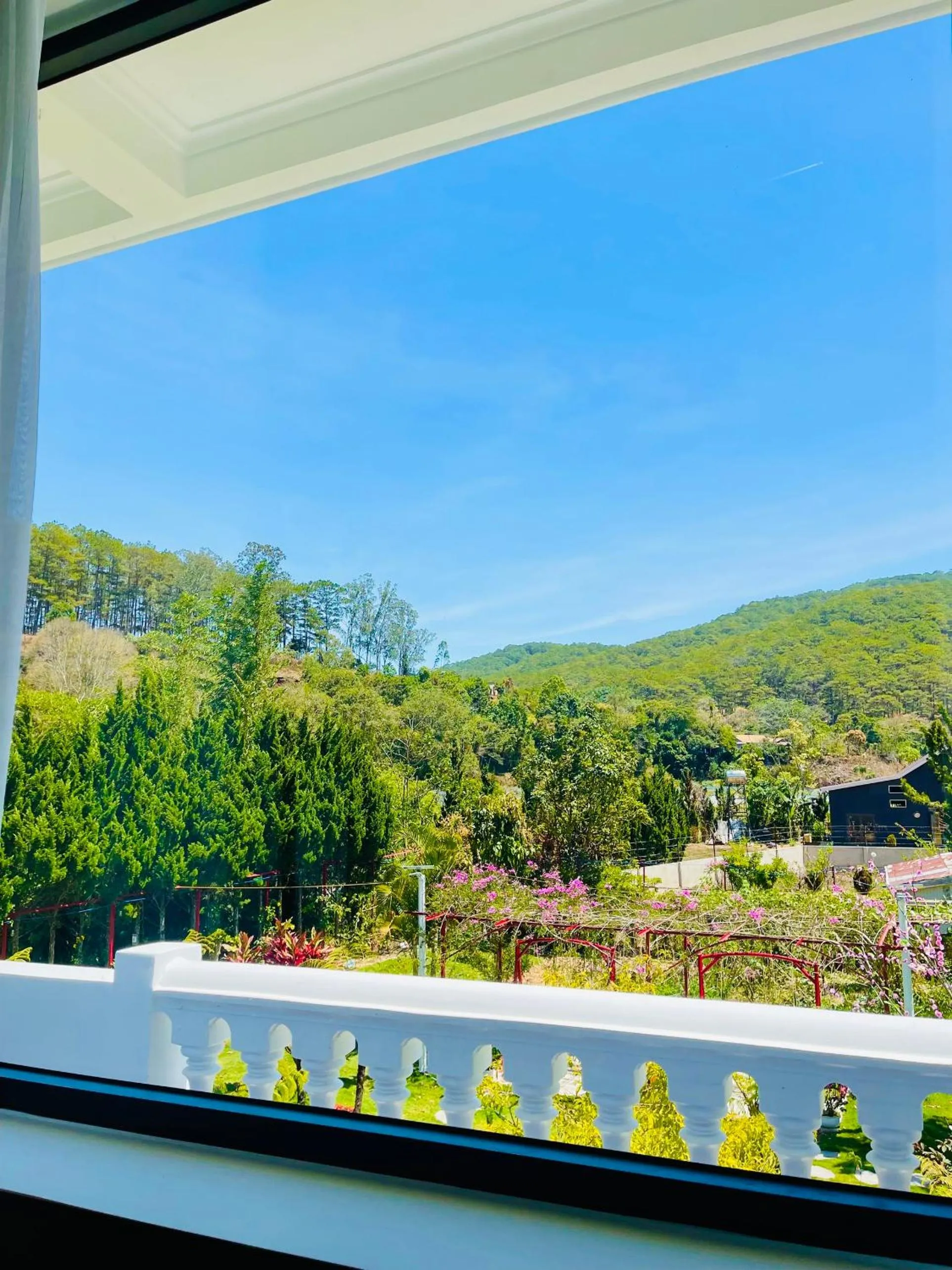 Natural landscape in White Villa Đà Lạt