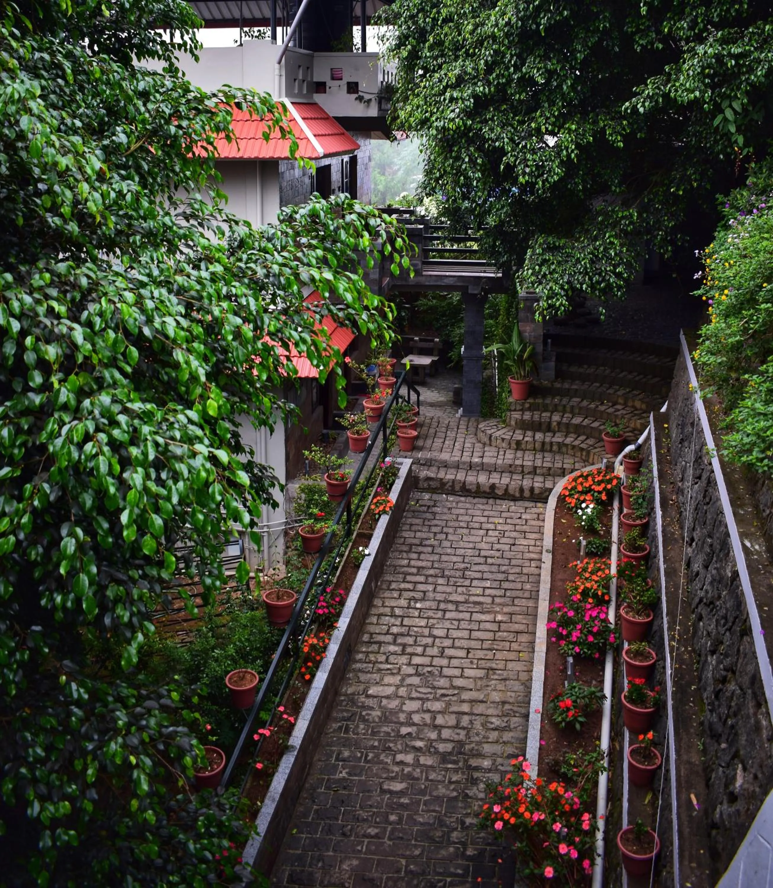 Shamrock Holiday Home