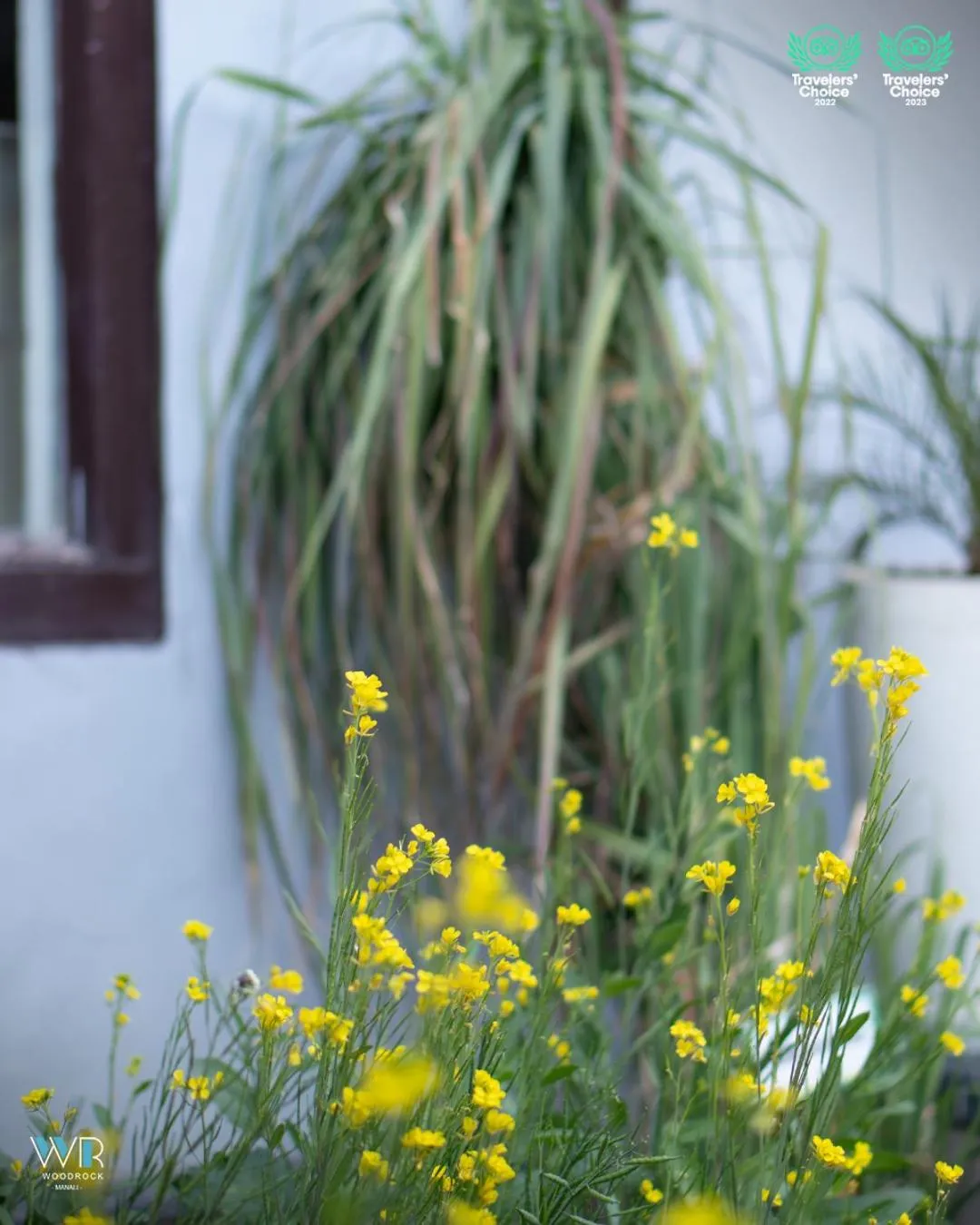 Garden in Woodrock Luxury Boutique Hotel