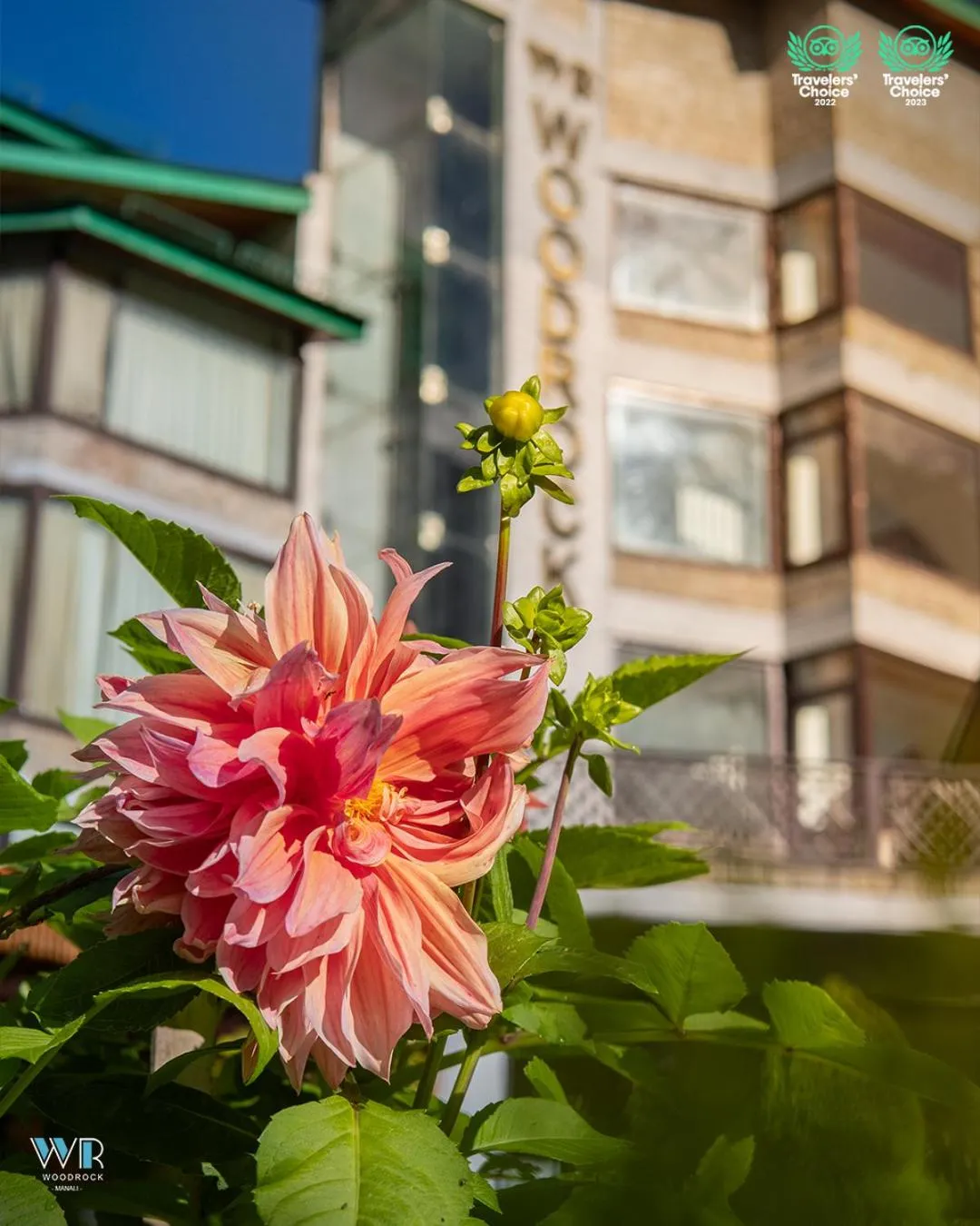 Garden in Woodrock Luxury Boutique Hotel