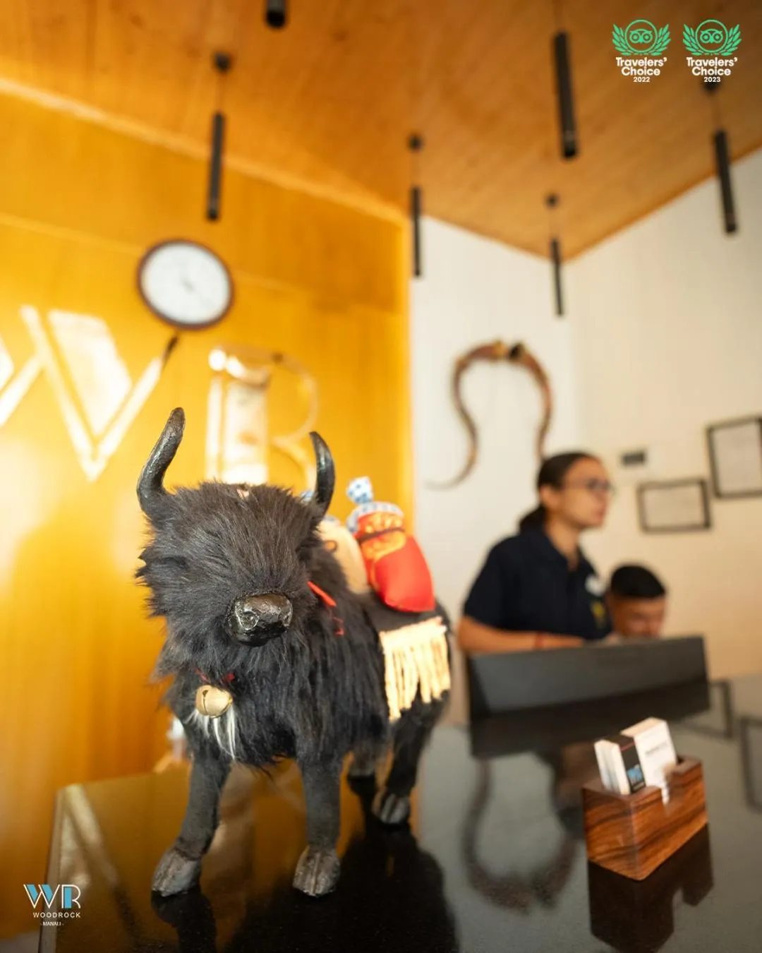 group of guests in Woodrock Luxury Boutique Hotel