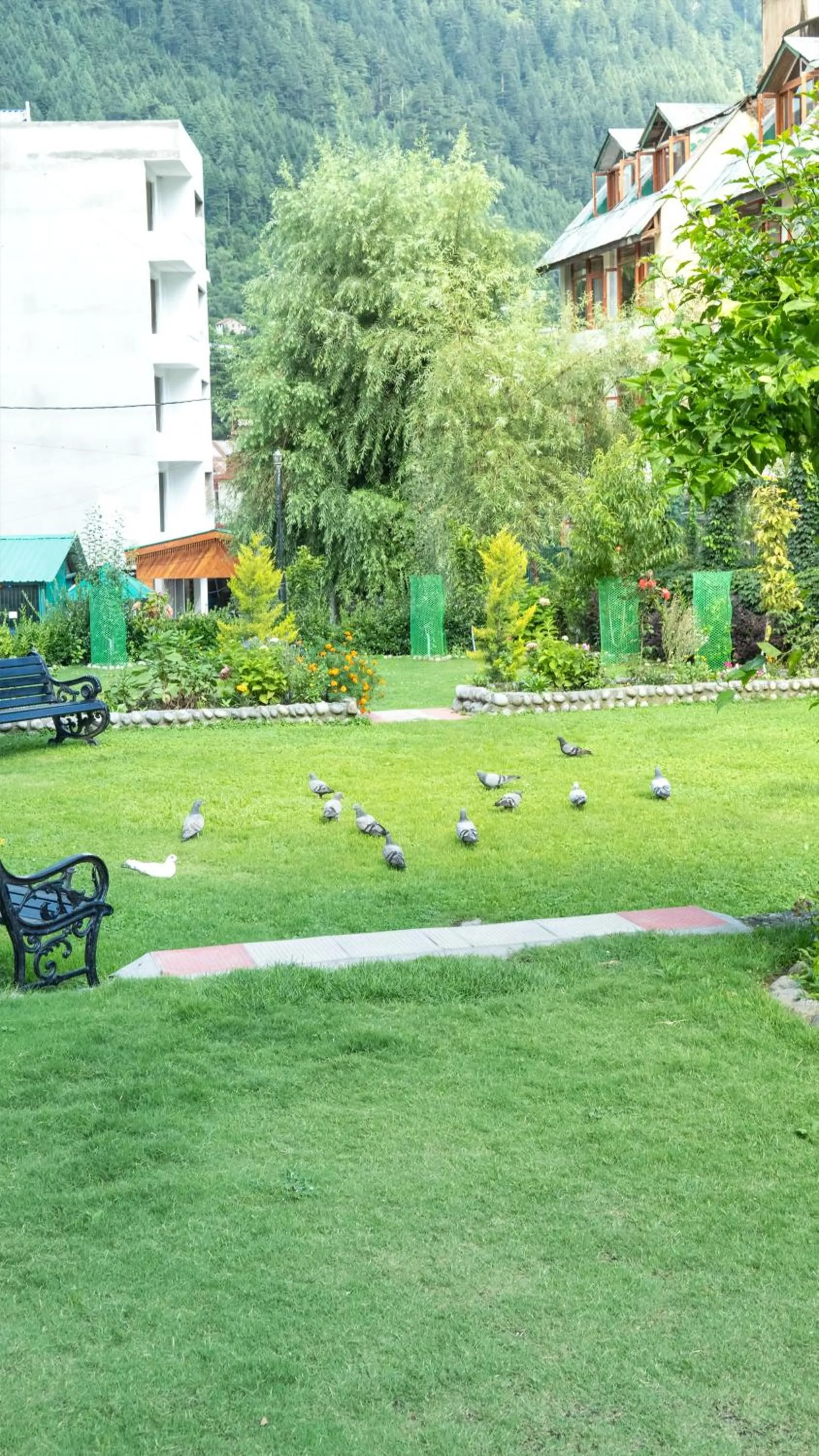 Natural landscape in Woodrock Luxury Boutique Hotel