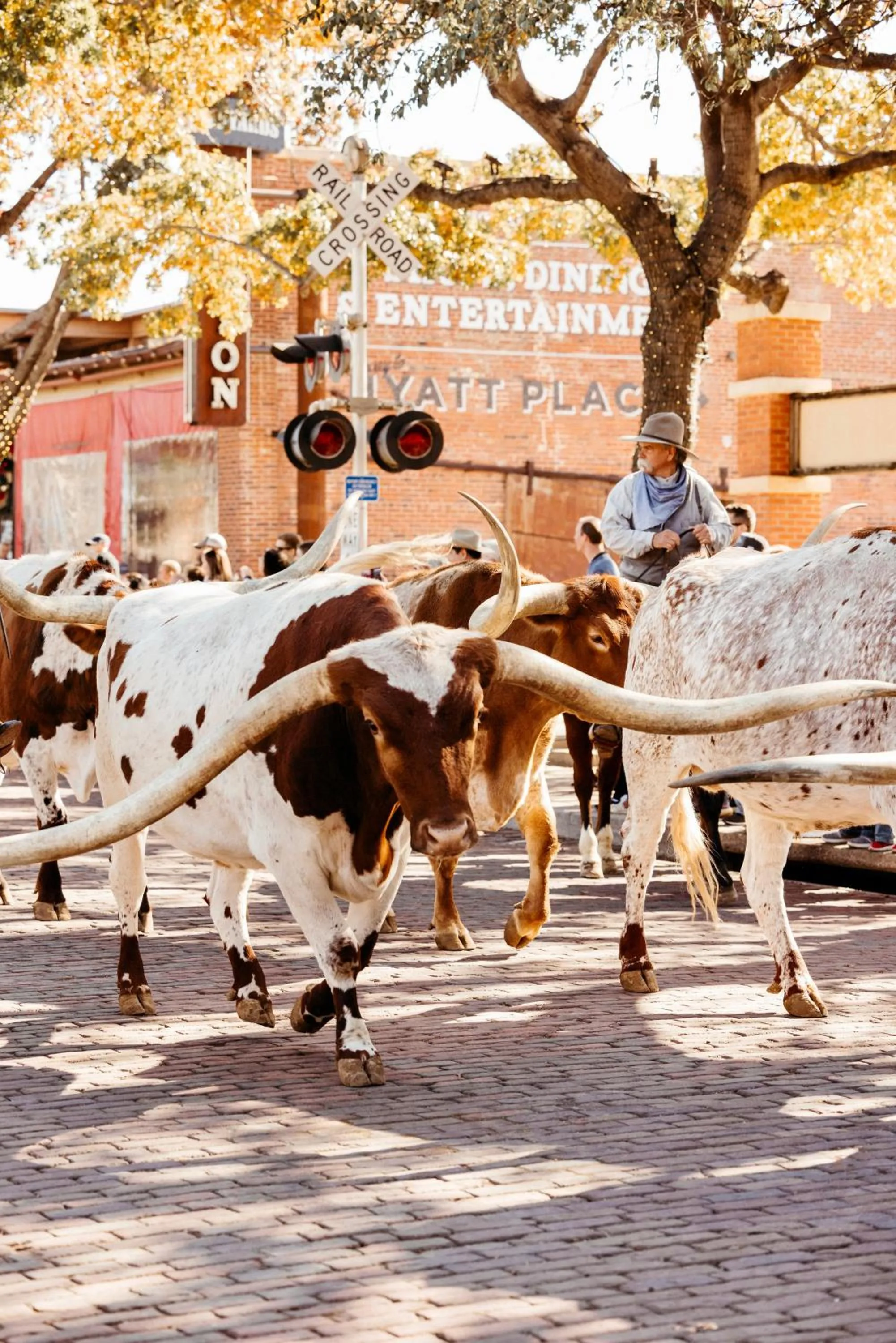 Nearby landmark in Bowie House, Auberge Collection