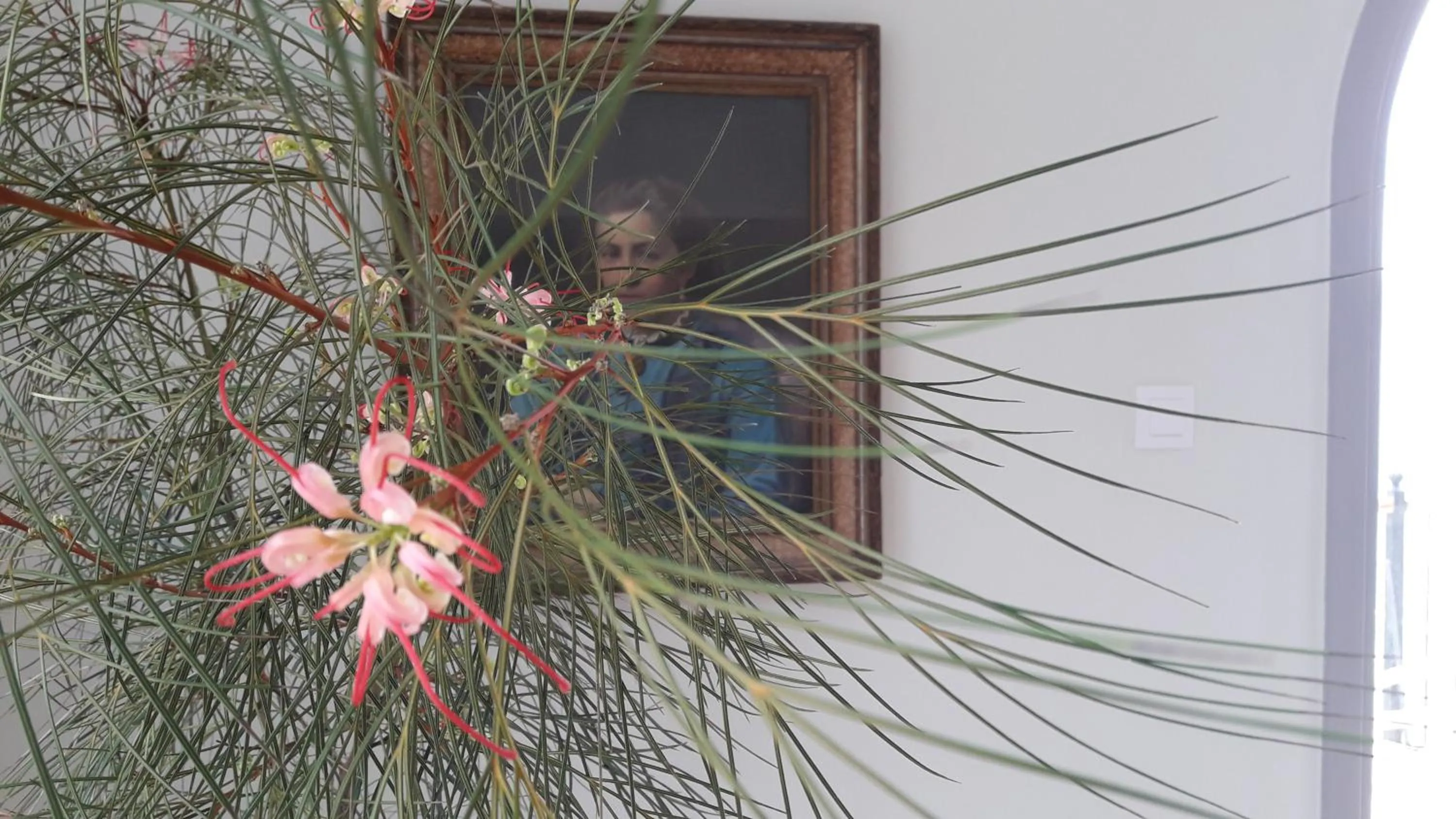 Decorative detail in MasouriBlu Boutique Hotel