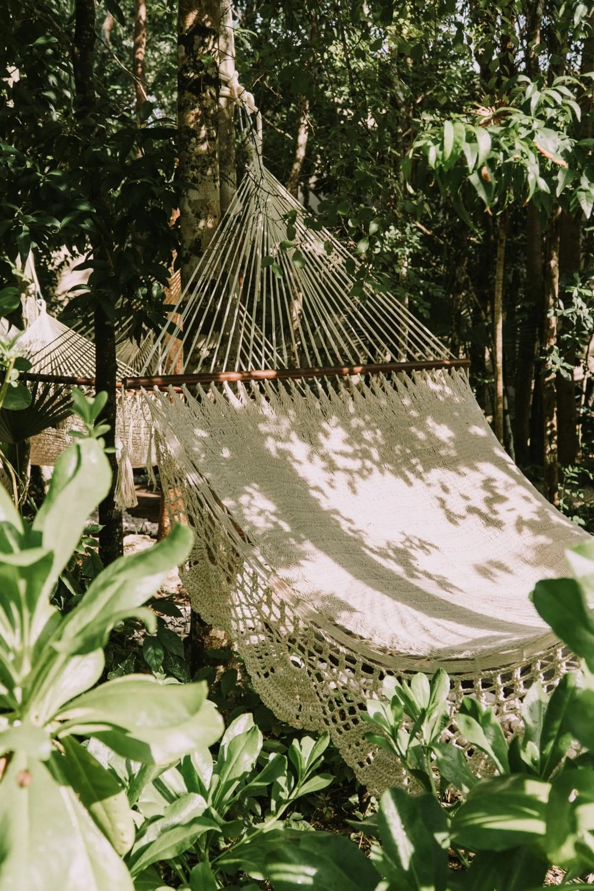 Spa and wellness centre/facilities in Kuun Taak Tulum