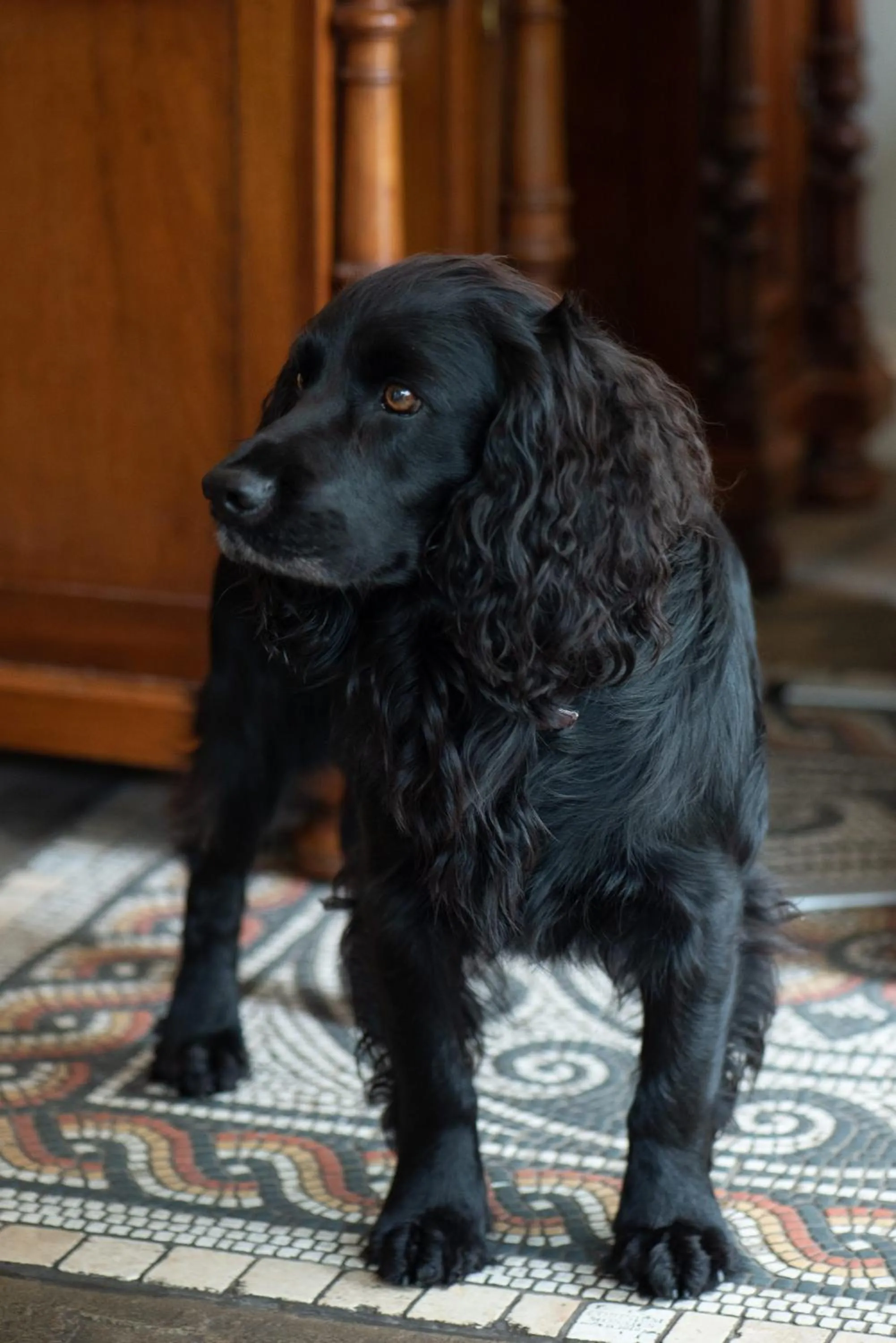 Corinium Hotel & Restaurant