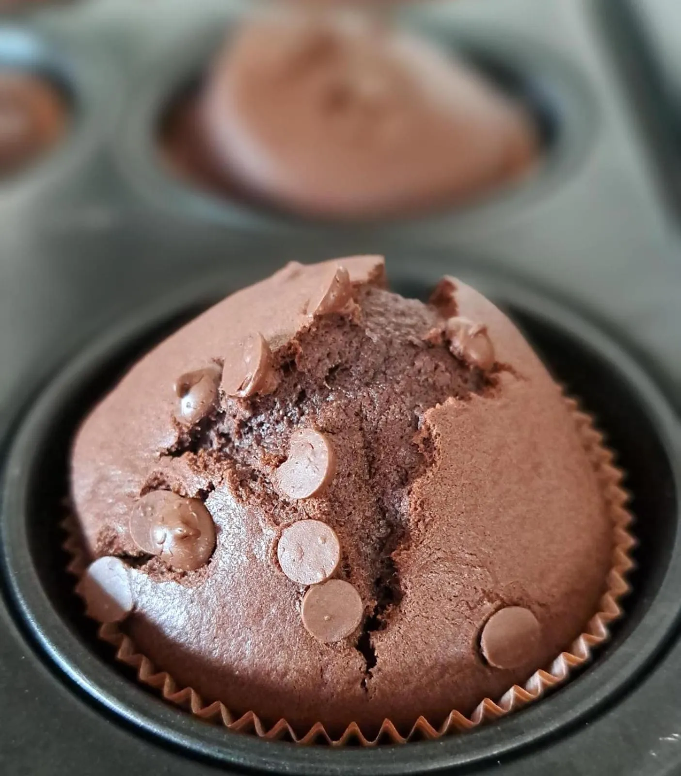 Restaurant/places to eat in Hotel Napoleon