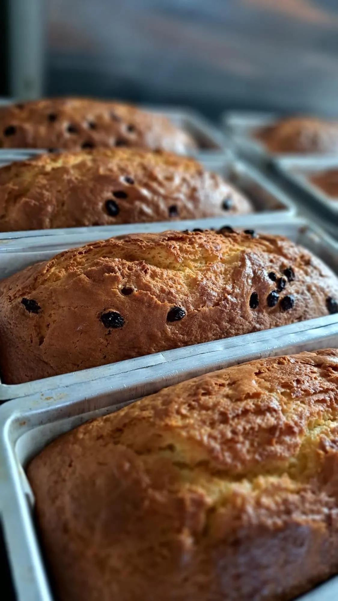 Breakfast in Hotel Napoleon