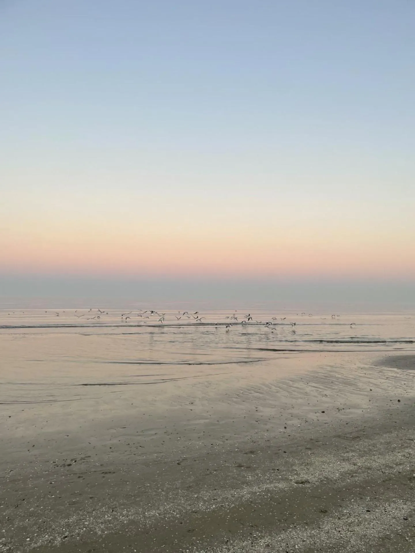 Natural landscape in Hotel Napoleon