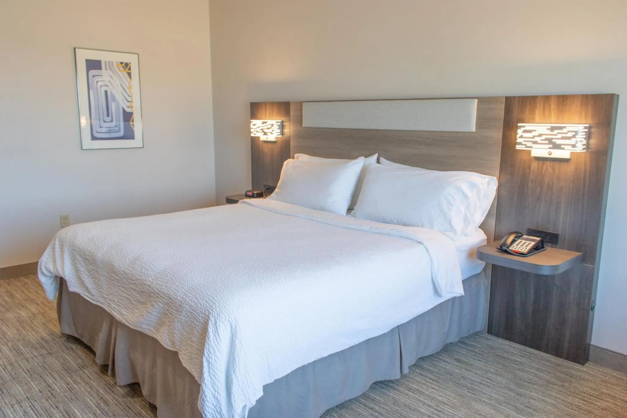 Photo of the whole room, Bed in Holiday Inn Express Hotel & Suites Temple-Medical Center Area by IHG