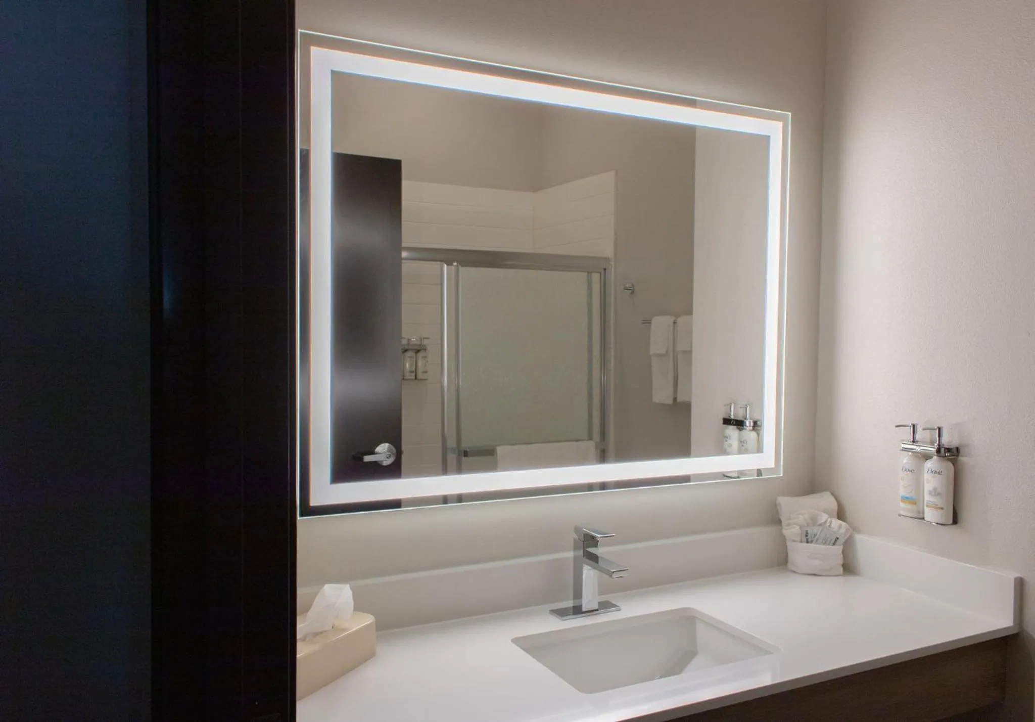 Bathroom in Holiday Inn Express Hotel & Suites Temple-Medical Center Area by IHG