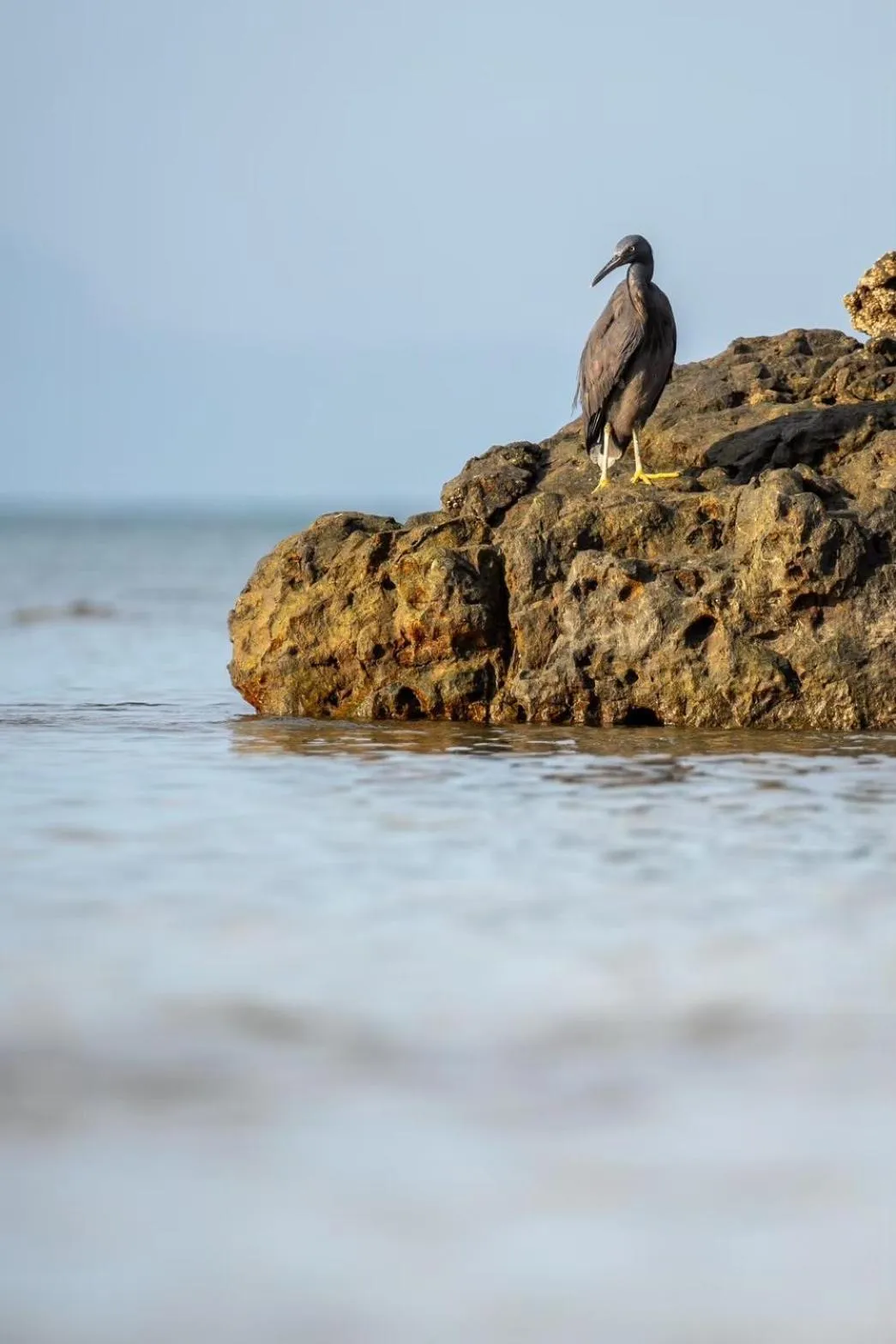 Natural landscape in Koh Pu Sea View Beach Resort