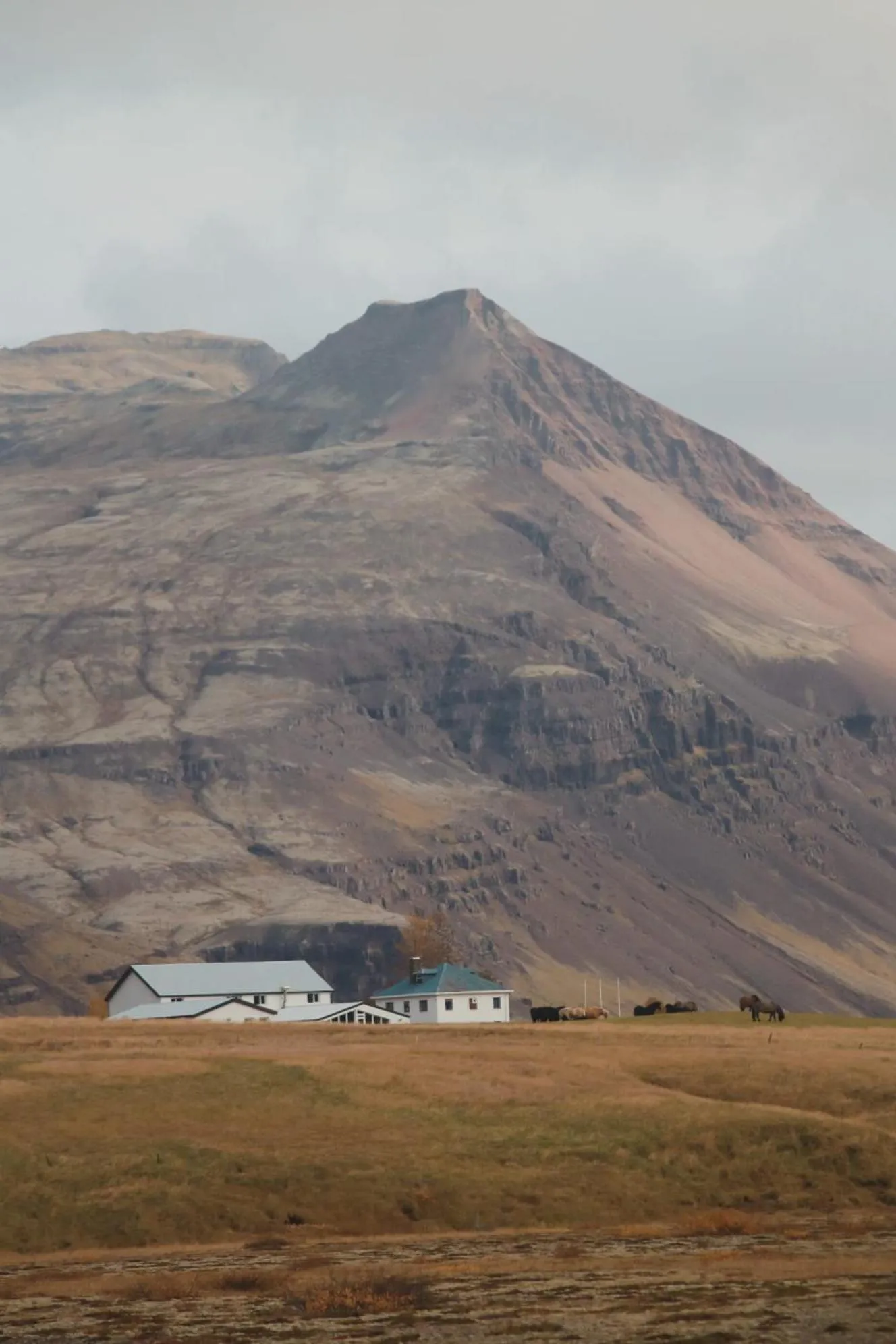 Property building in Glacier World - Hoffell Guesthouse