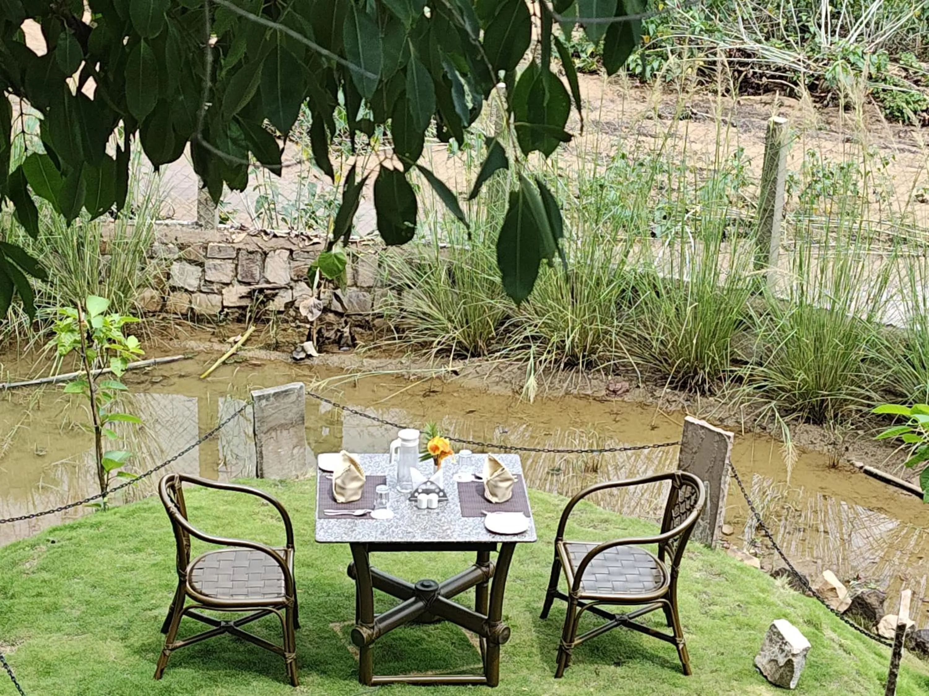 Activities in Tathastu Bandhavgarh