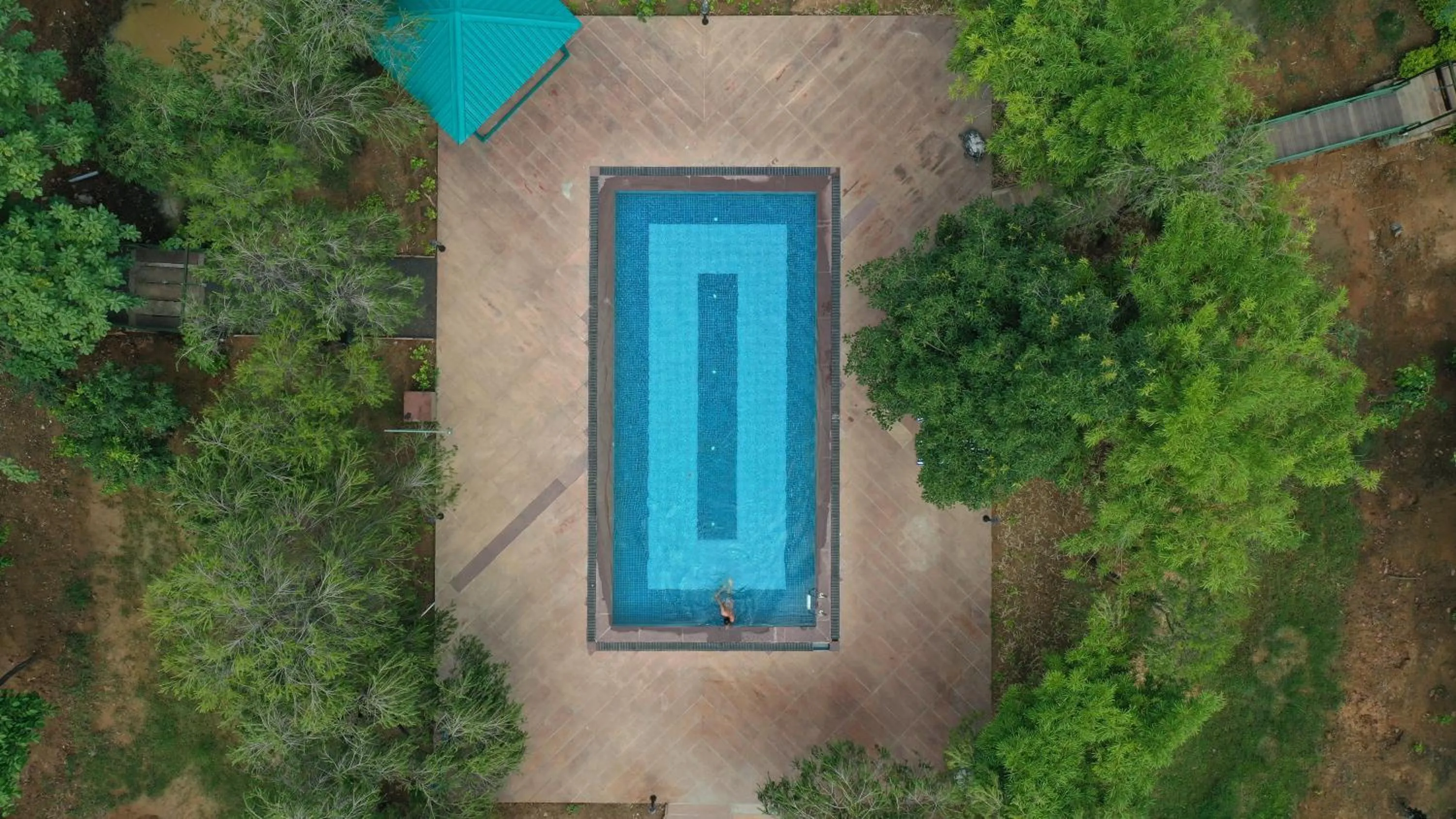 Swimming pool in Tathastu Bandhavgarh