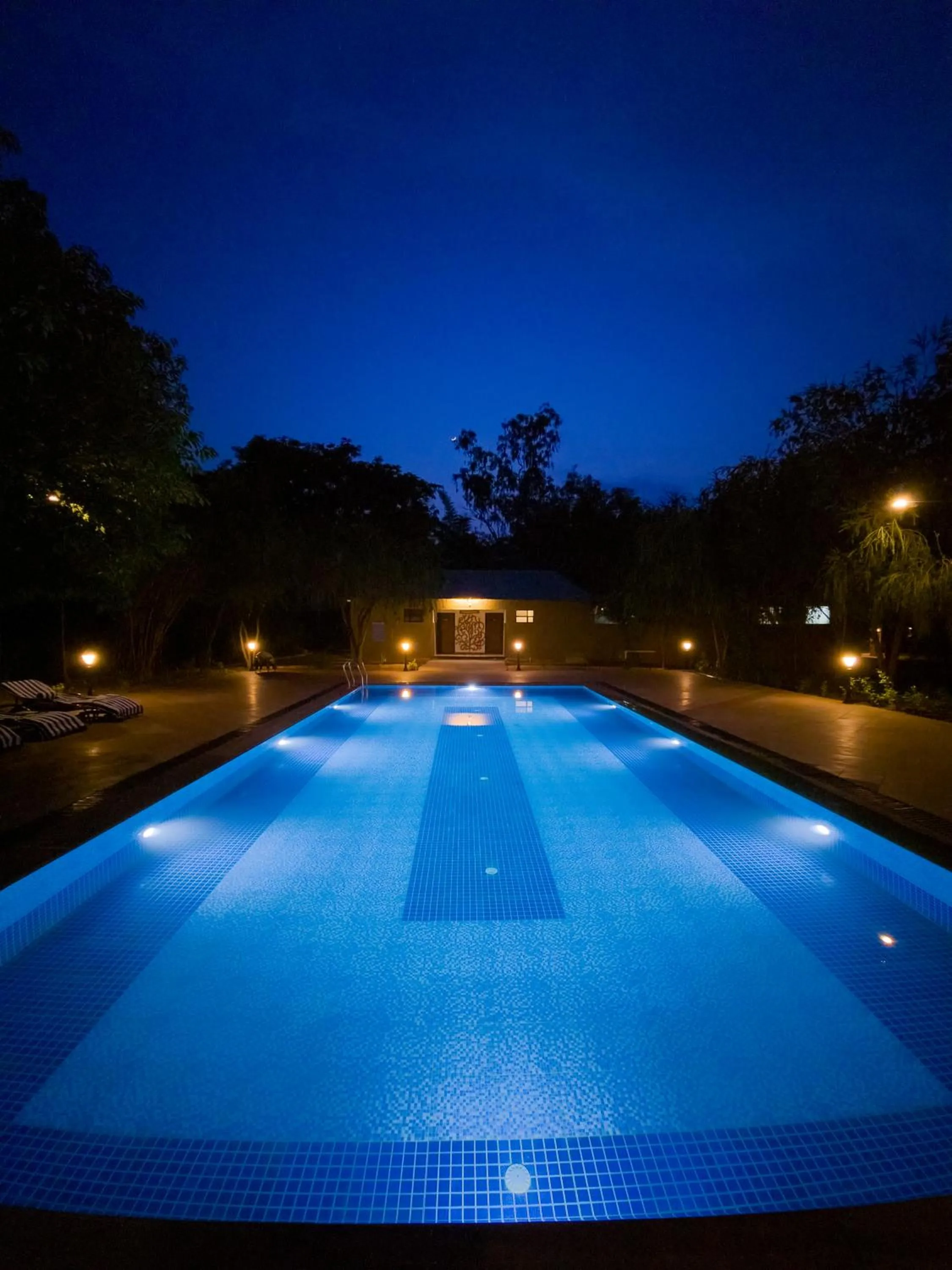 Swimming pool in Tathastu Bandhavgarh