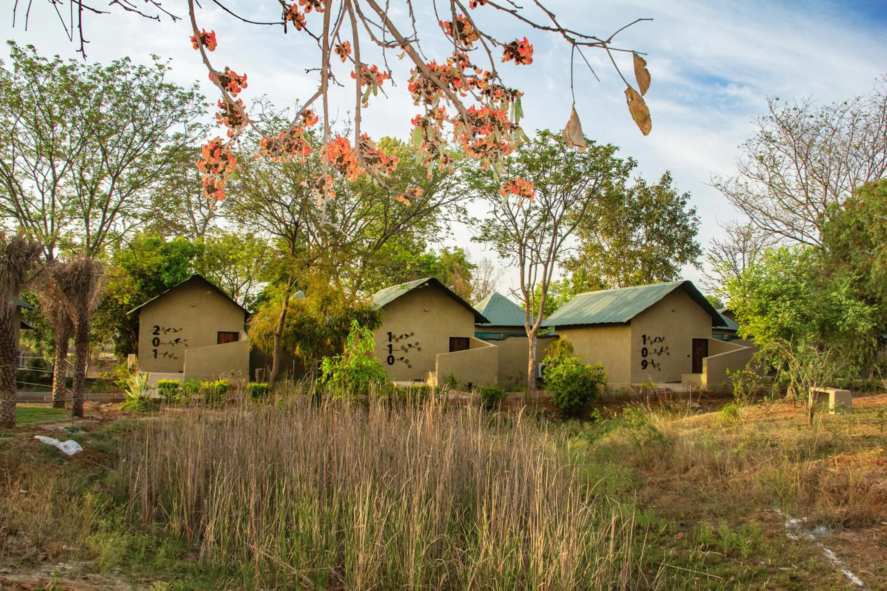 Natural landscape in Tathastu Bandhavgarh