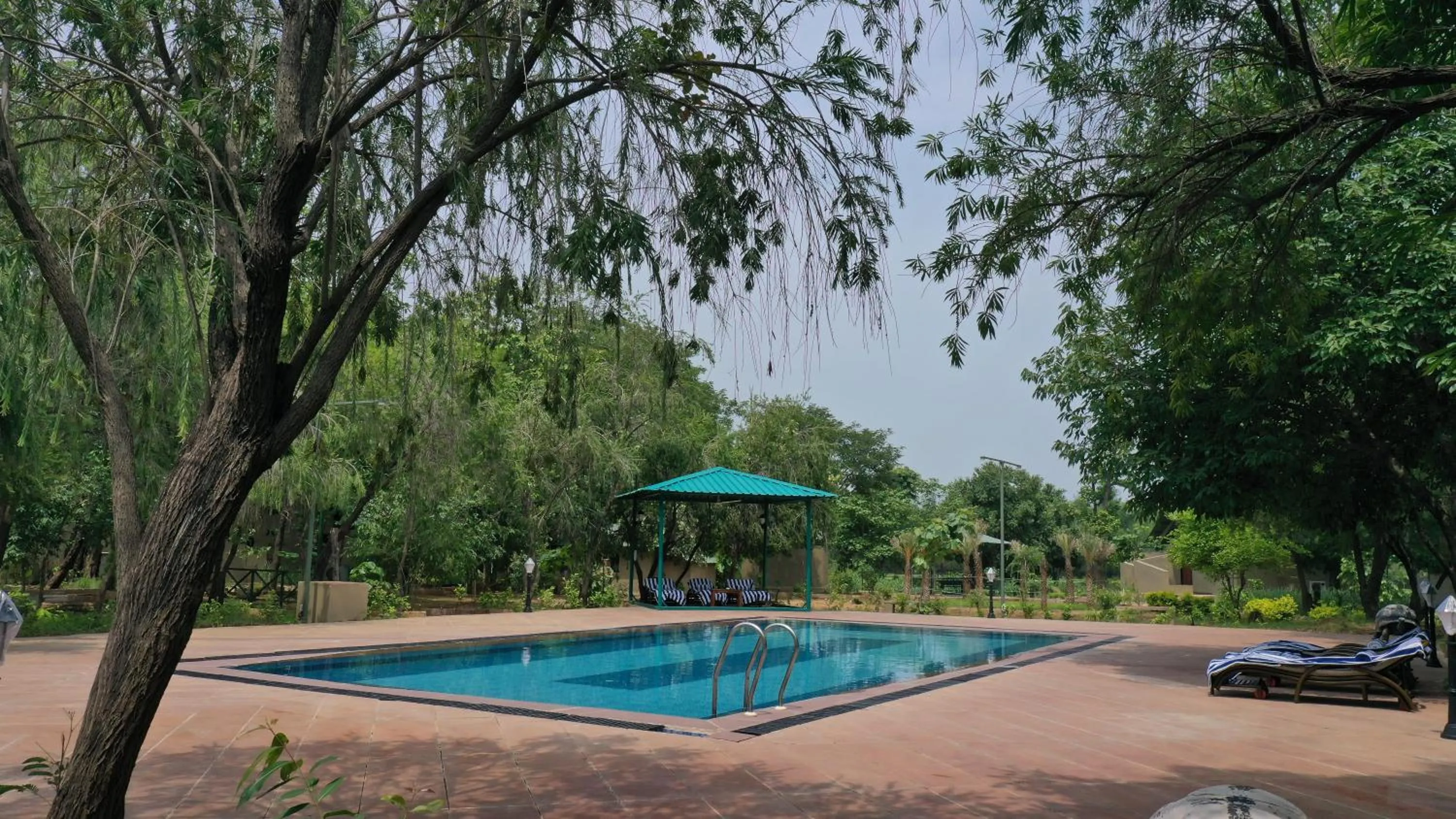Swimming pool in Tathastu Bandhavgarh
