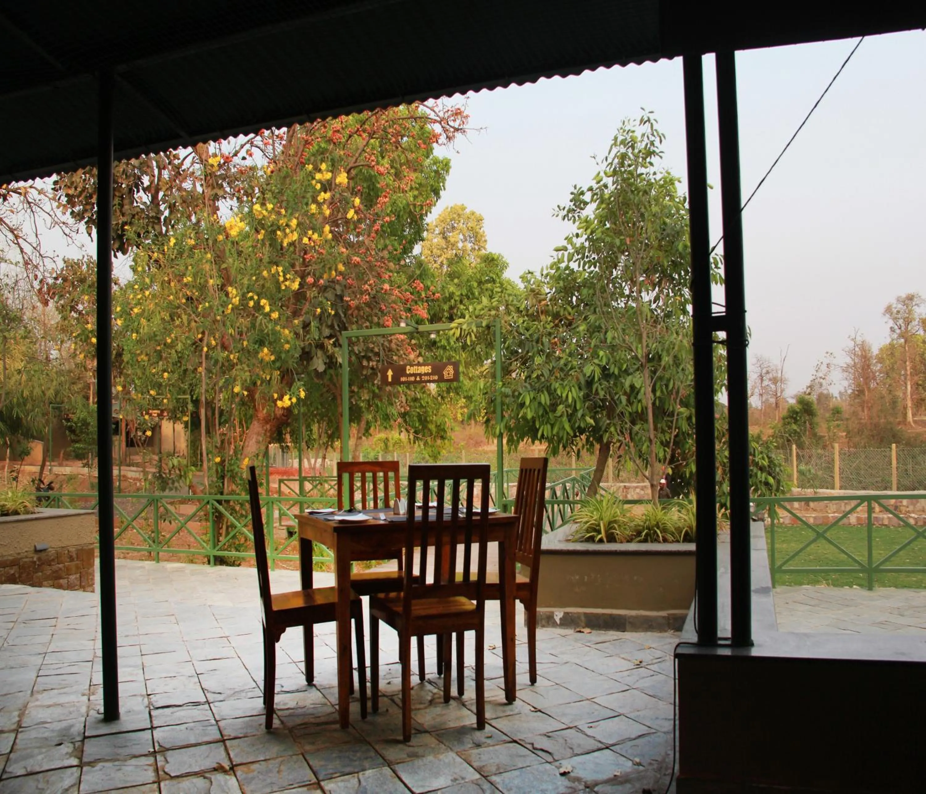 View (from property/room) in Tathastu Bandhavgarh