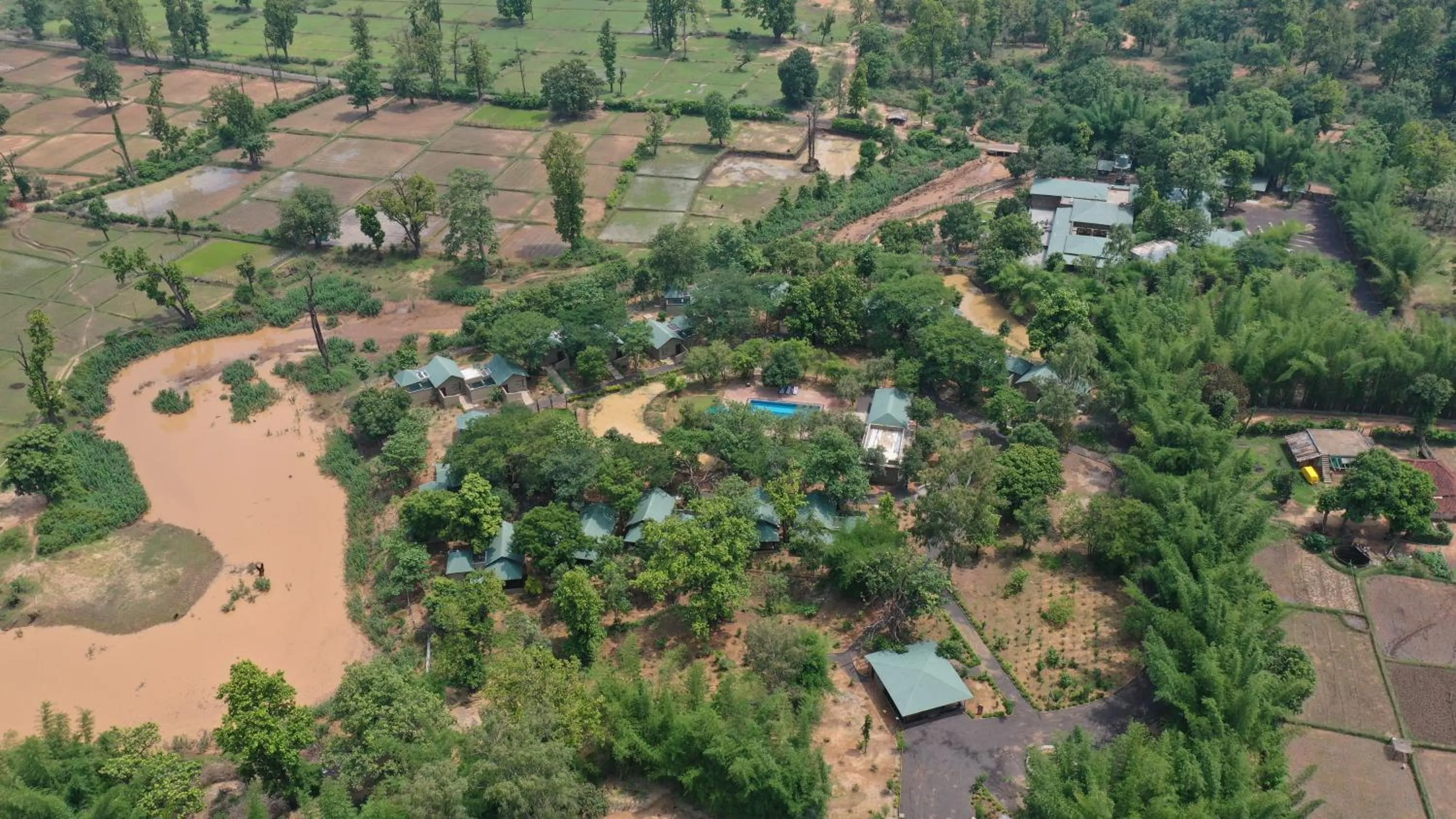 View (from property/room) in Tathastu Bandhavgarh