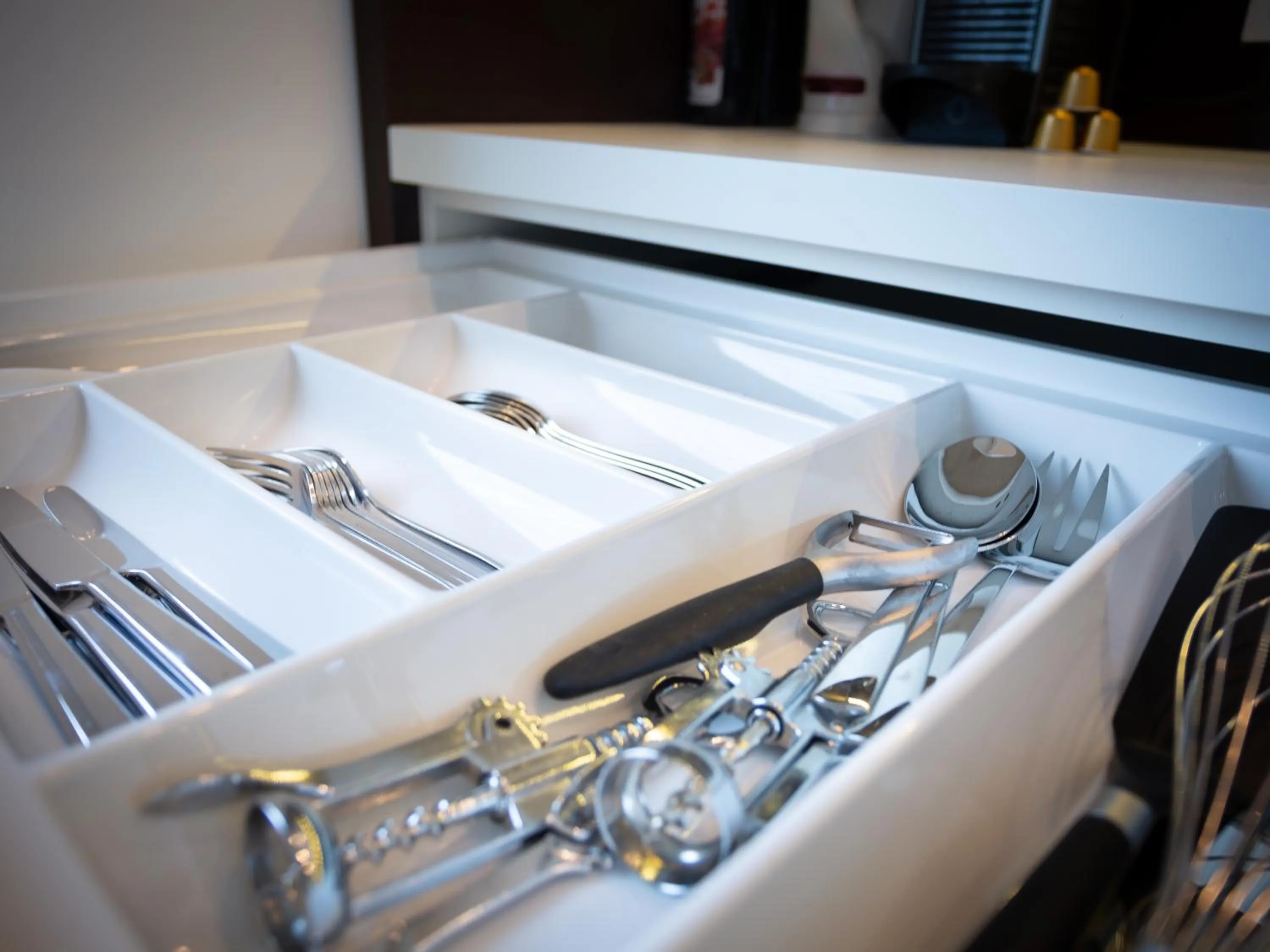 Area and facilities in Penthouse Apartments