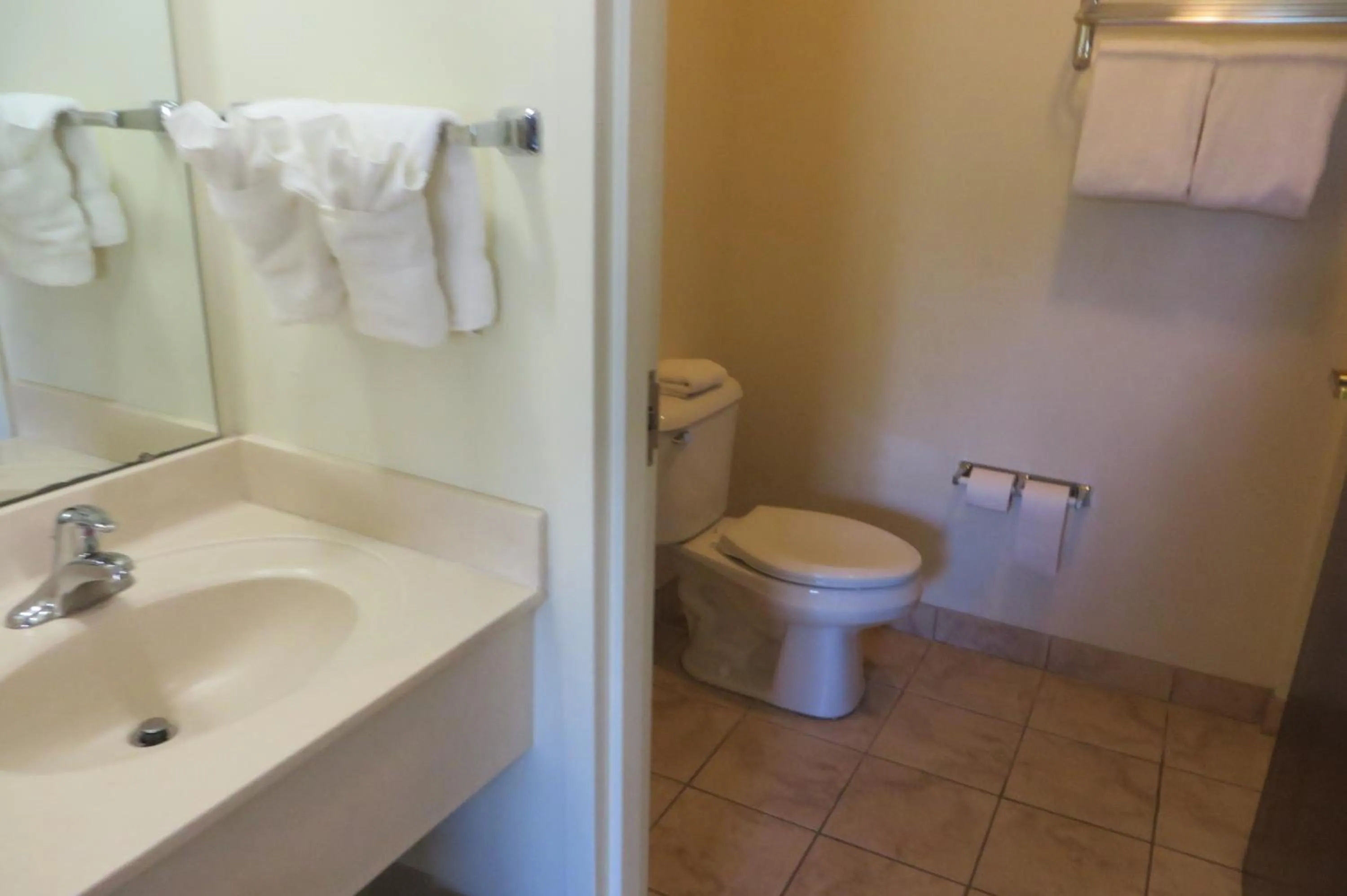 Bathroom in Hawthorn Extended Stay by Wyndham Seville