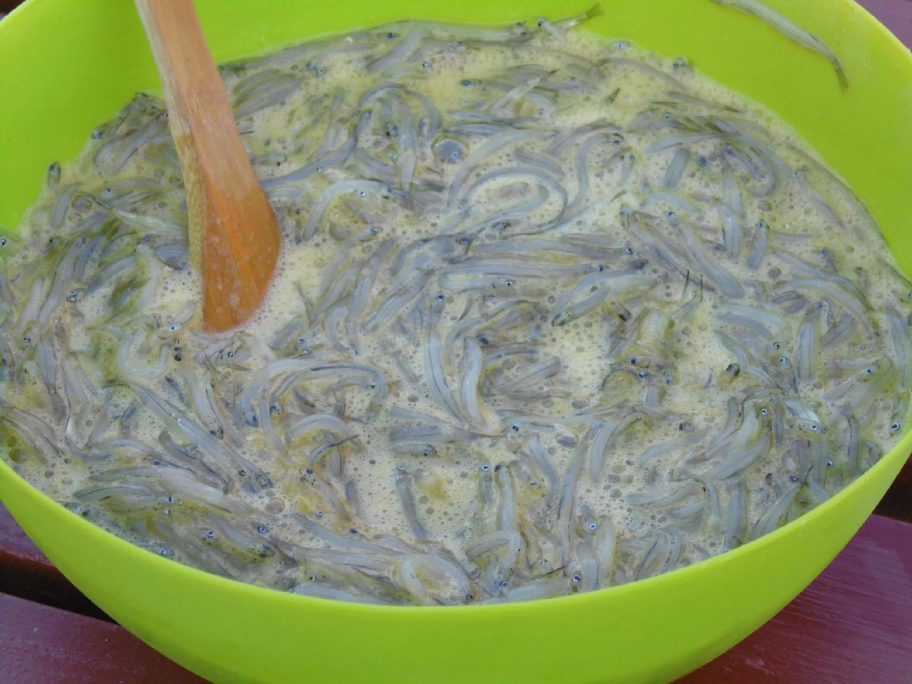 Food close-up in Glenavys Waitaki River Motor Camp