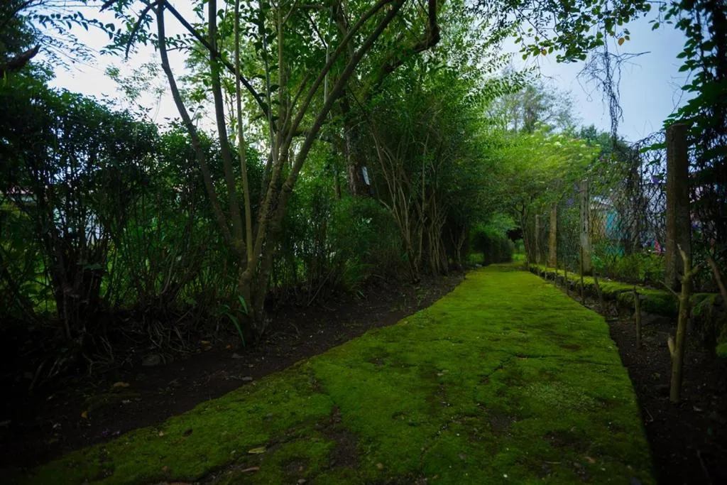 Garden in Hotel Kodai International