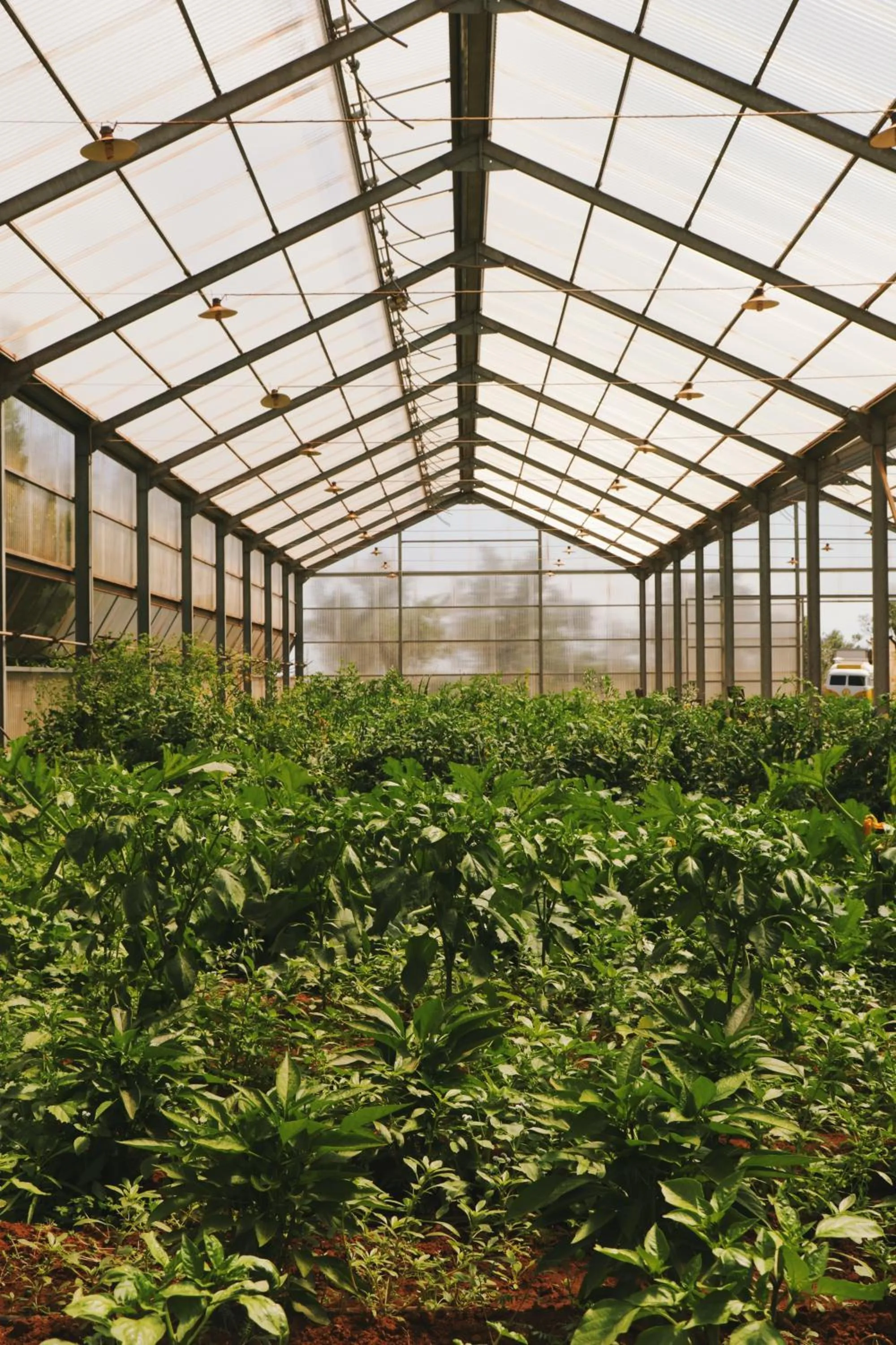 Nearby landmark in Secolario Masseria del Viverbene