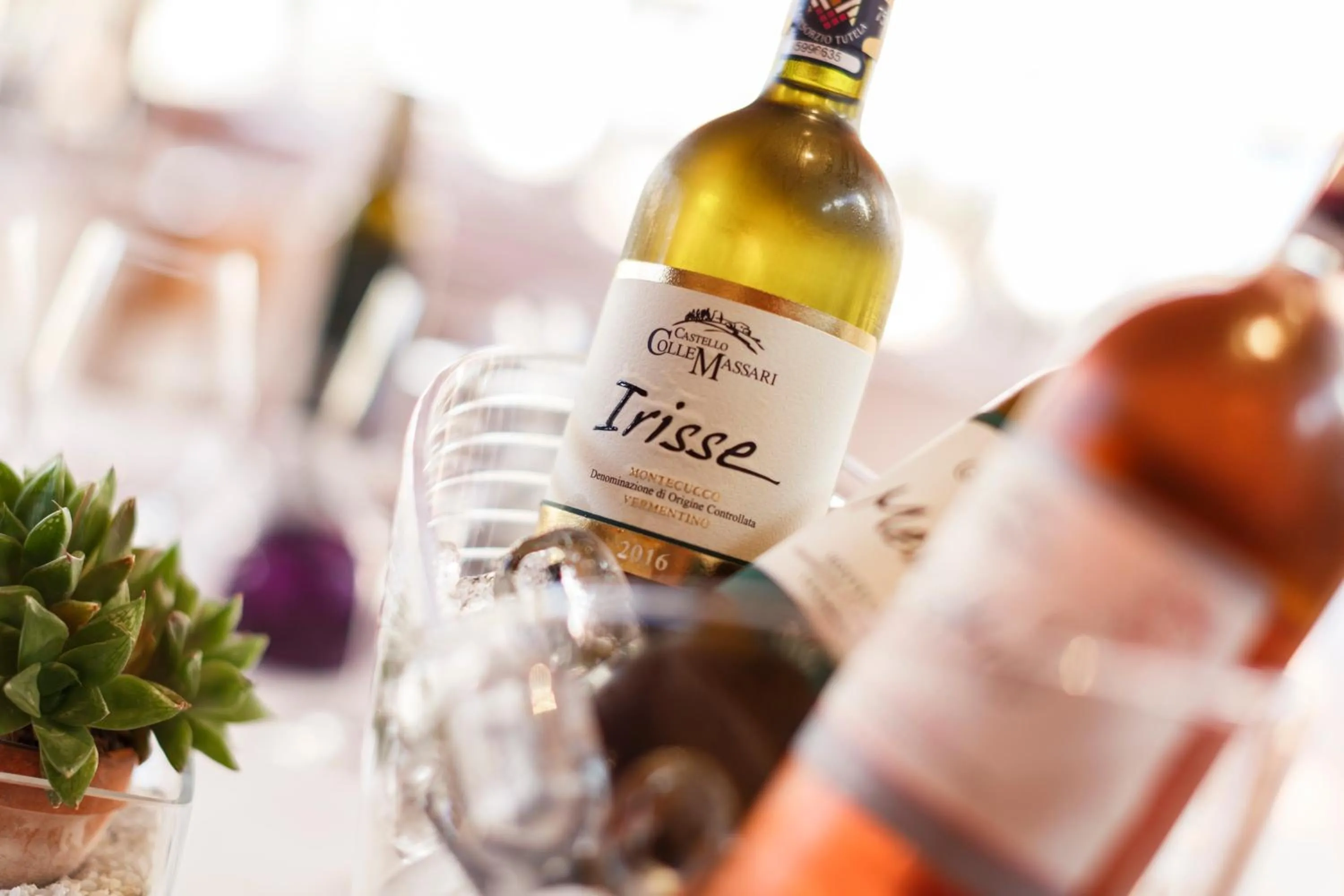 Drinks in Wine Relais In Montecucco - ColleMassari Hospitality