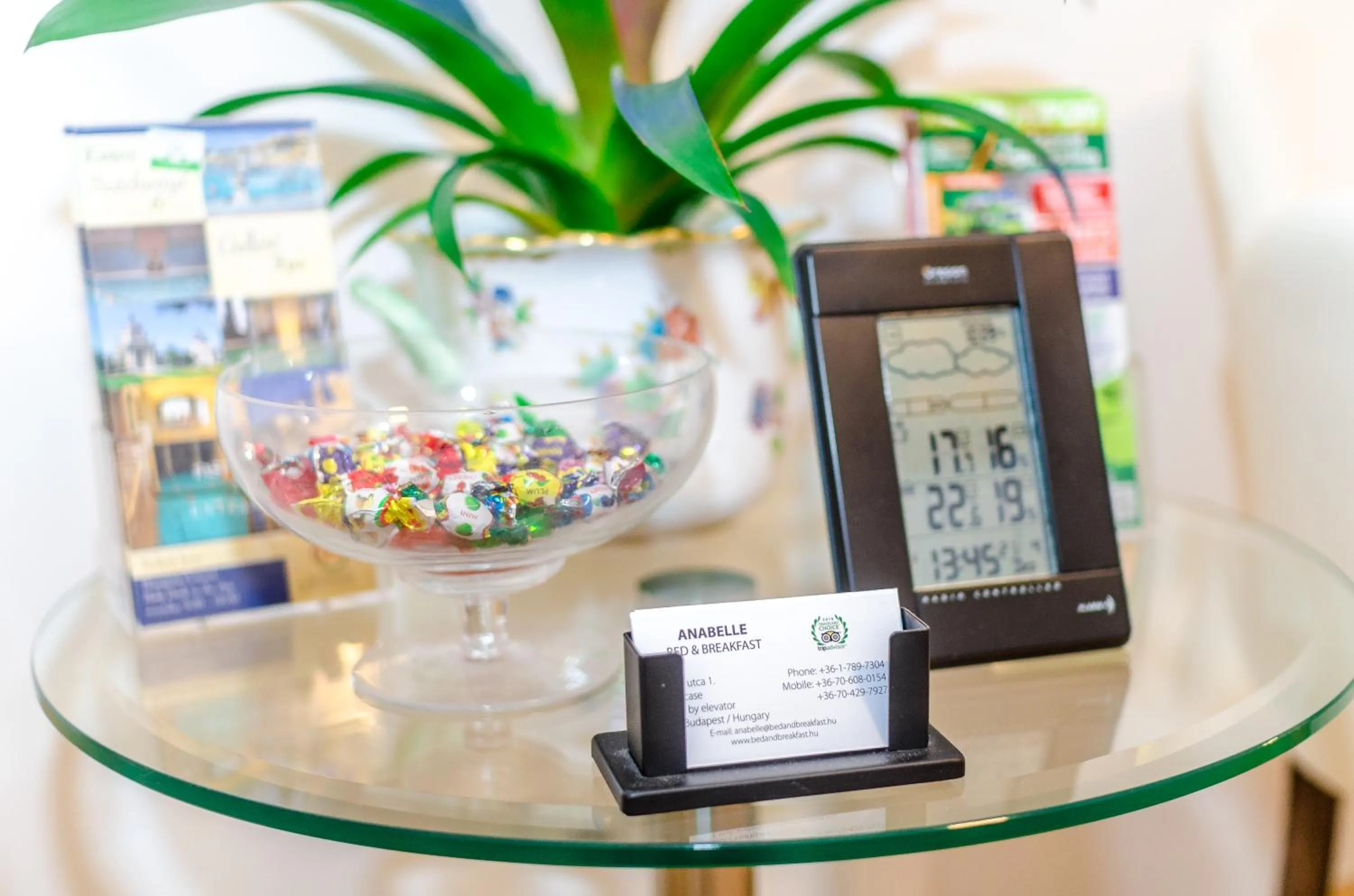 Other in Anabelle Bed and Budapest