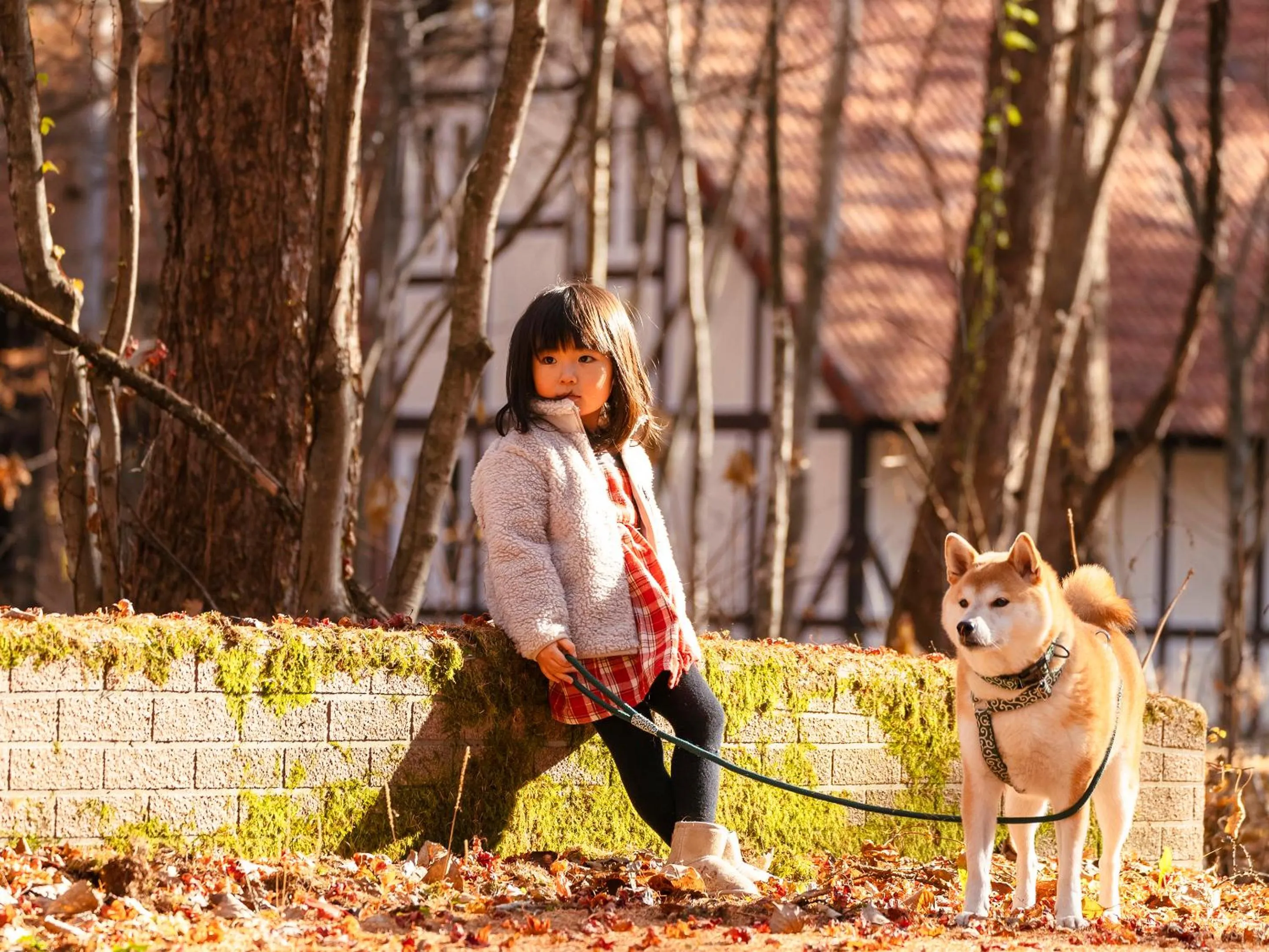Day in Tokachi Nakasatsunai Glamping Resort Feriendorf